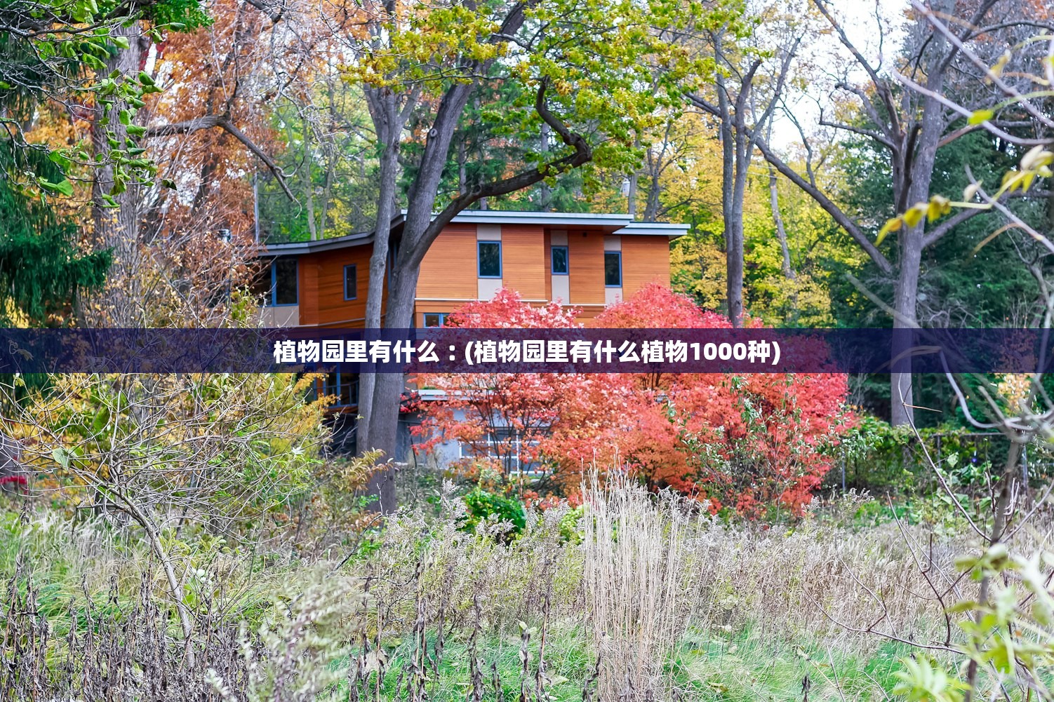 植物园里有什么︰(植物园里有什么植物1000种)