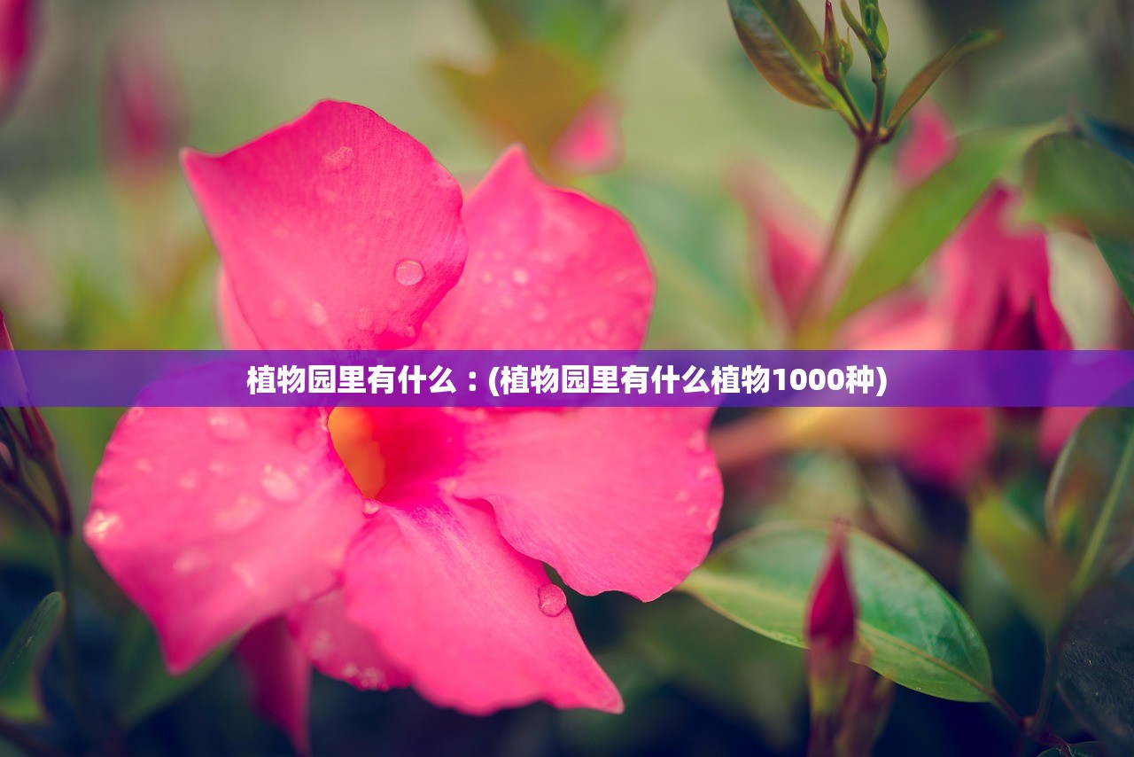植物园里有什么︰(植物园里有什么植物1000种)
