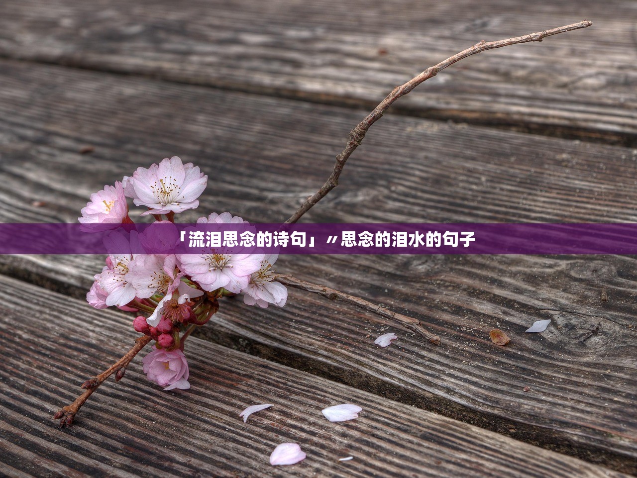 「流泪思念的诗句」〃思念的泪水的句子 「流泪思念的诗句」〃思念的泪水的句子