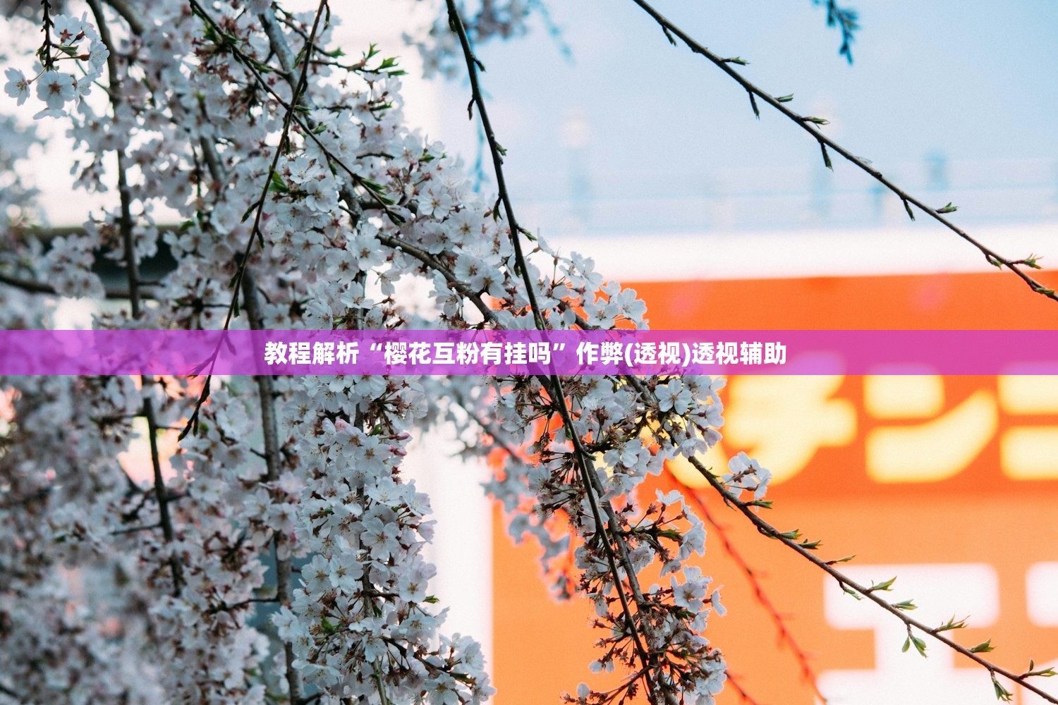 教程解析“樱花互粉有挂吗”作弊(透视)透视辅助 