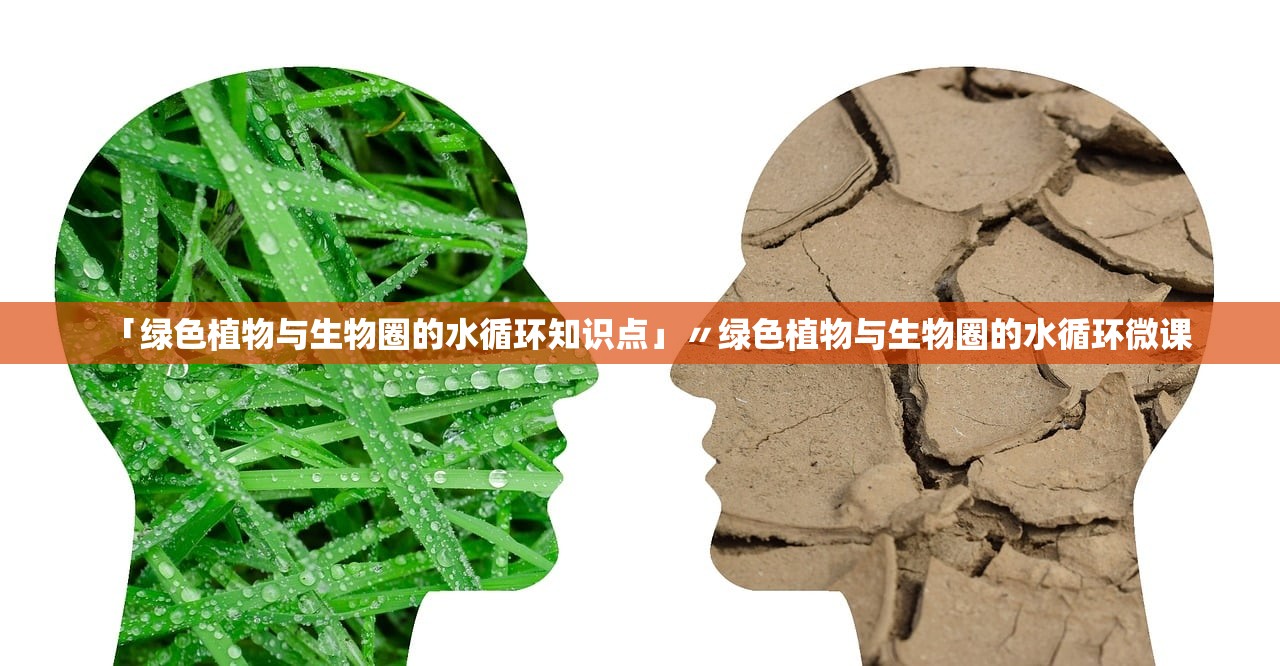 「绿色植物与生物圈的水循环知识点」〃绿色植物与生物圈的水循环微课 「绿色植物与生物圈的水循环知识点」〃绿色植物与生物圈的水循环微课