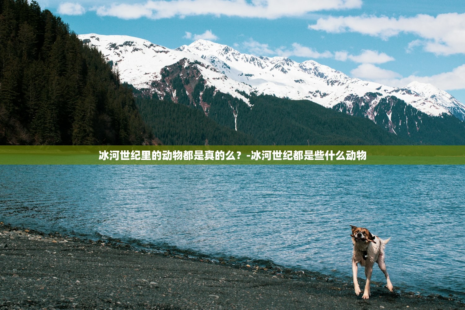 冰河世纪里的动物都是真的么？-冰河世纪都是些什么动物