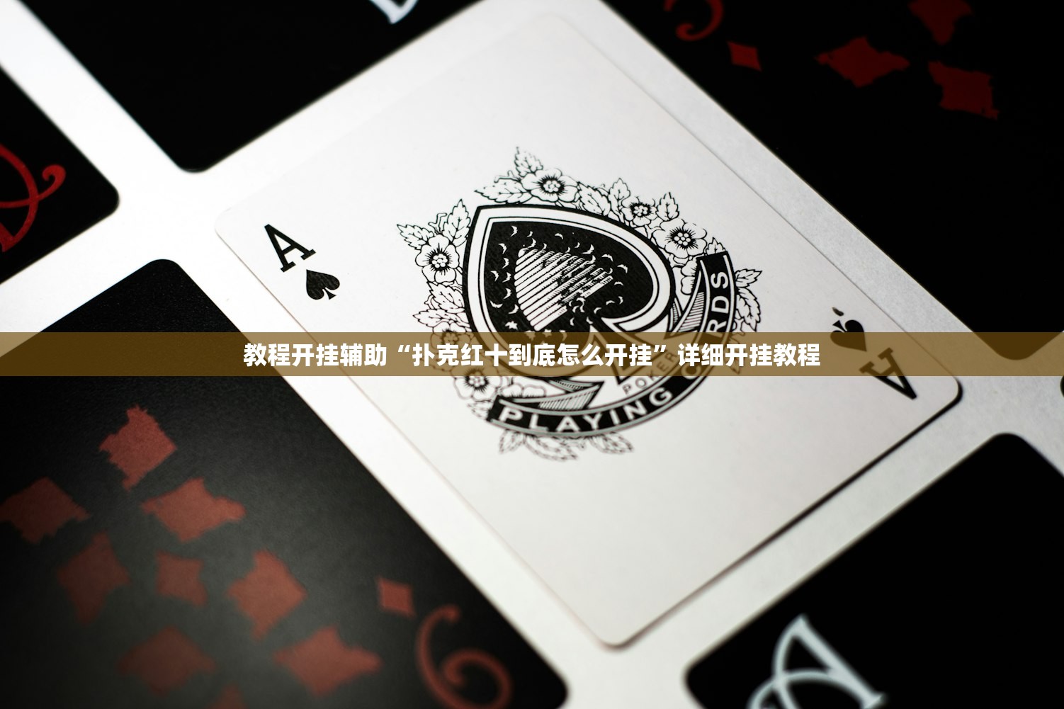 教程开挂辅助“扑克红十到底怎么开挂”详细开挂教程
