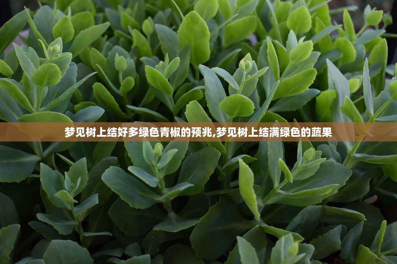 梦见树上结好多绿色青椒的预兆,梦见树上结满绿色的蔬果