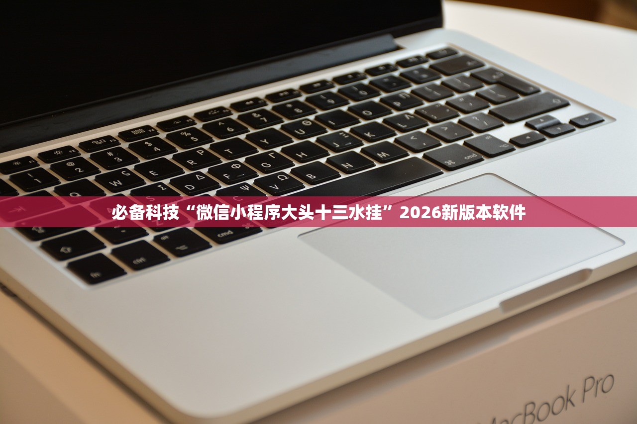 必备科技“微信小程序大头十三水挂	”2026新版本软件