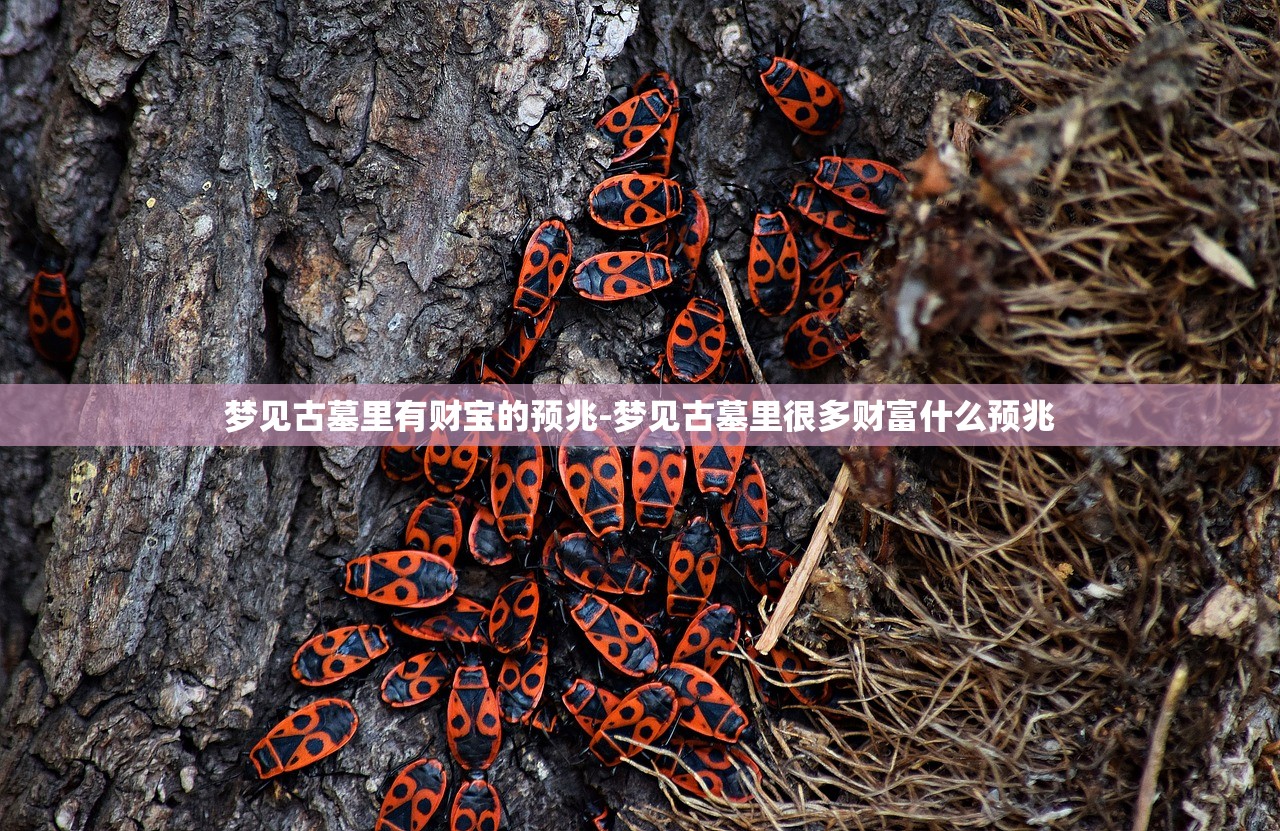 梦见古墓里有财宝的预兆-梦见古墓里很多财富什么预兆
