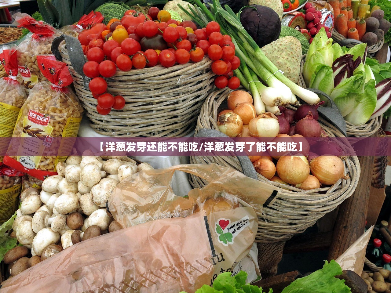 【洋葱发芽还能不能吃/洋葱发芽了能不能吃】 【洋葱发芽还能不能吃/洋葱发芽了能不能吃】
