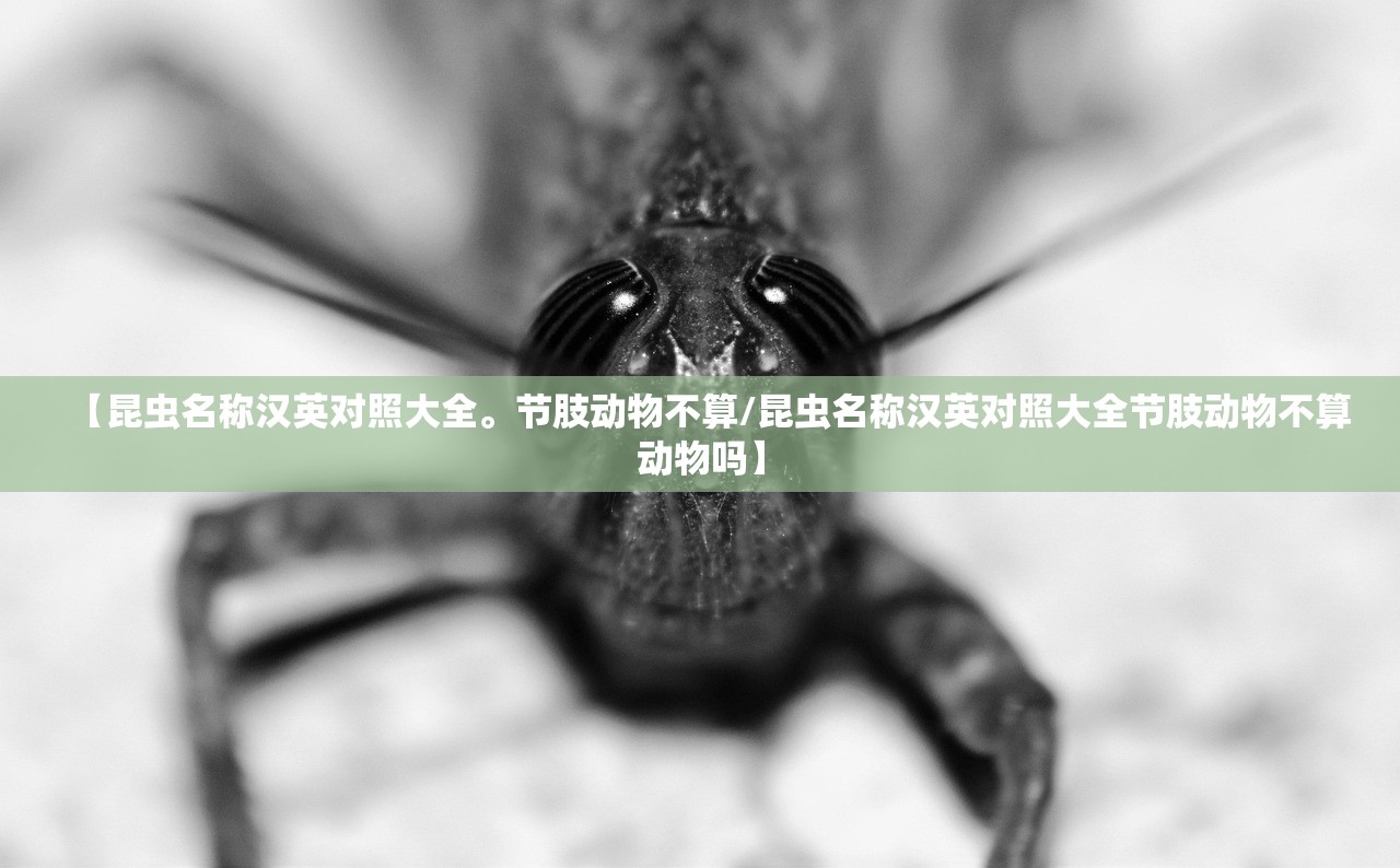 【昆虫名称汉英对照大全。节肢动物不算/昆虫名称汉英对照大全节肢动物不算动物吗】