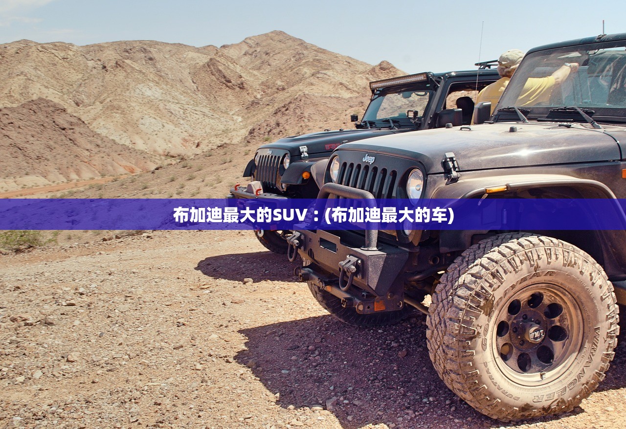 布加迪最大的SUV︰(布加迪最大的车)