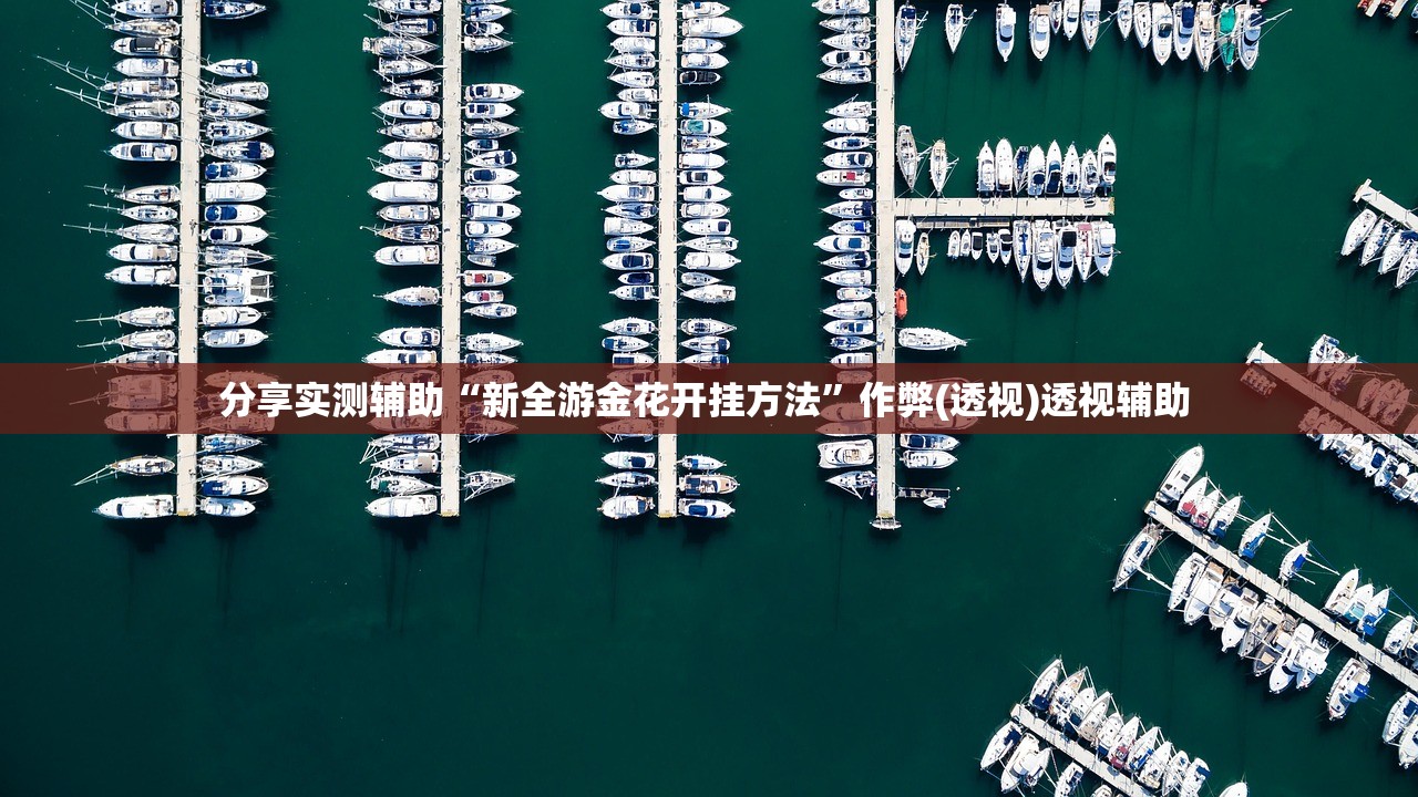 分享实测辅助“新全游金花开挂方法”作弊(透视)透视辅助 