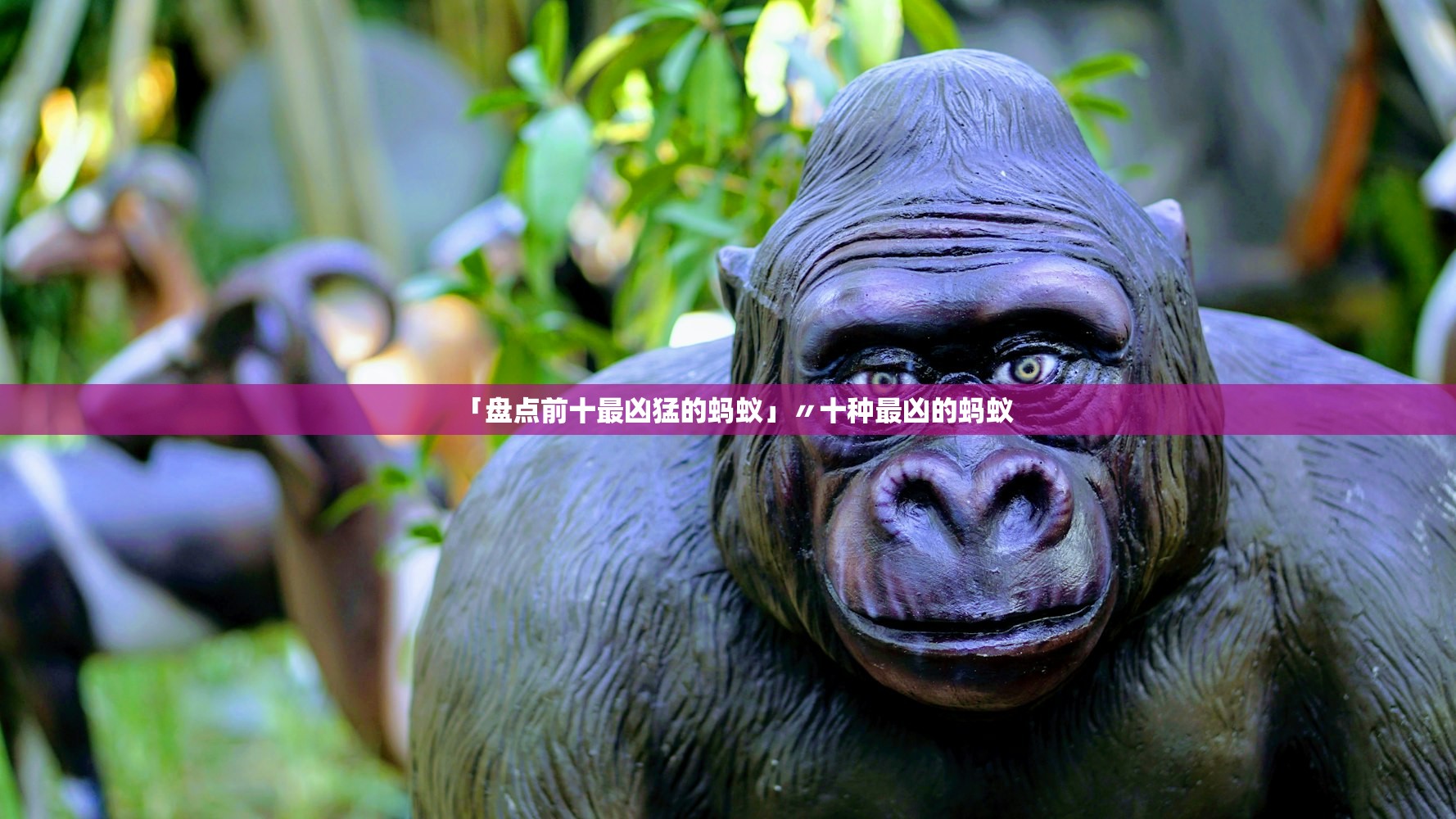 「盘点前十最凶猛的蚂蚁」〃十种最凶的蚂蚁 「盘点前十最凶猛的蚂蚁」〃十种最凶的蚂蚁