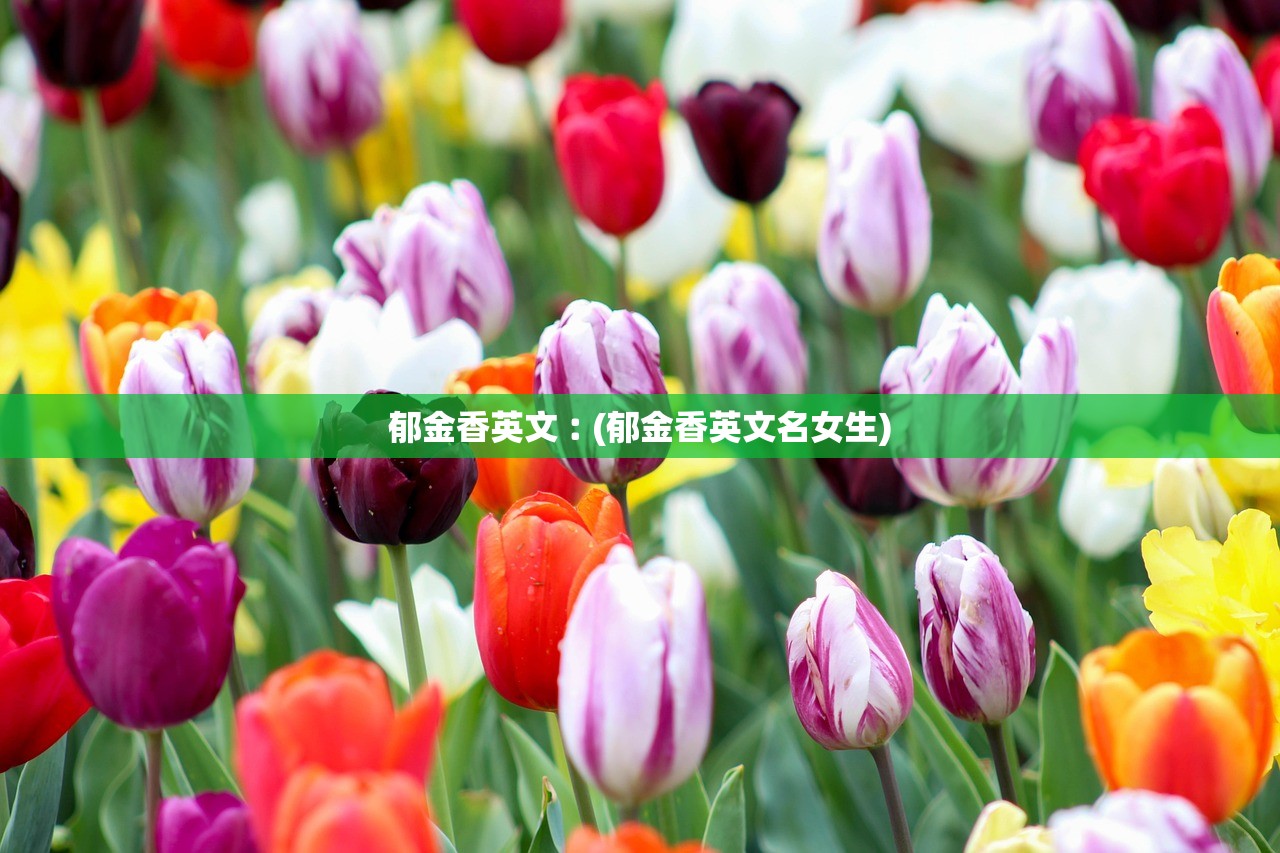 郁金香英文︰(郁金香英文名女生)