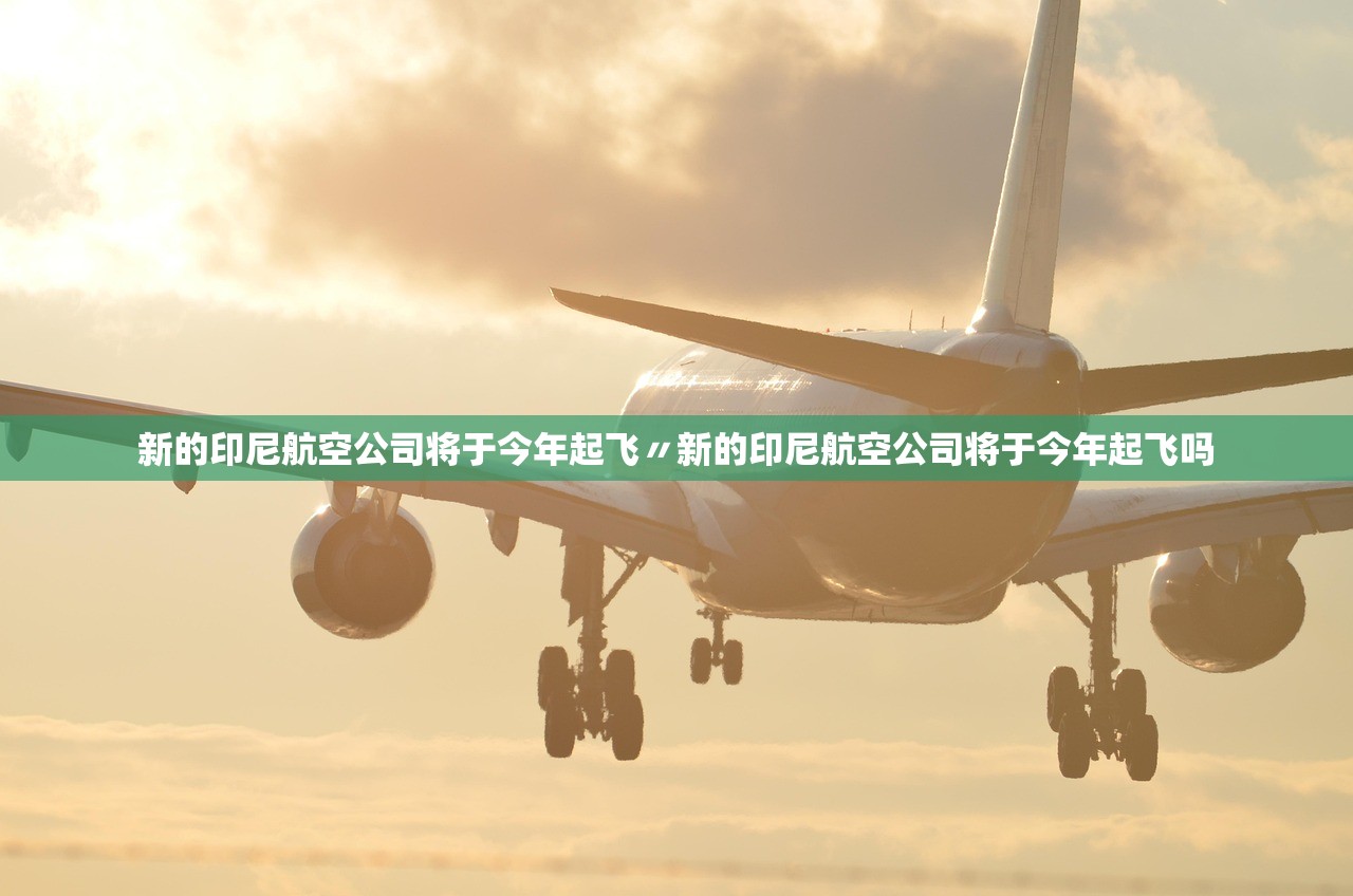 新的印尼航空公司将于今年起飞〃新的印尼航空公司将于今年起飞吗