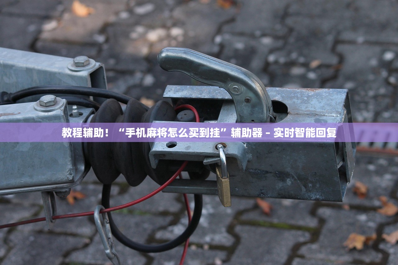 教程辅助！“手机麻将怎么买到挂”辅助器 – 实时智能回复