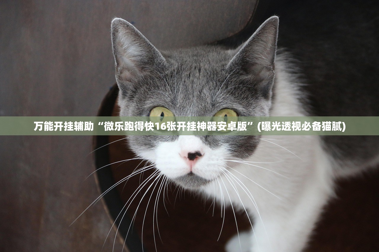 万能开挂辅助“微乐跑得快16张开挂神器安卓版”(曝光透视必备猫腻)