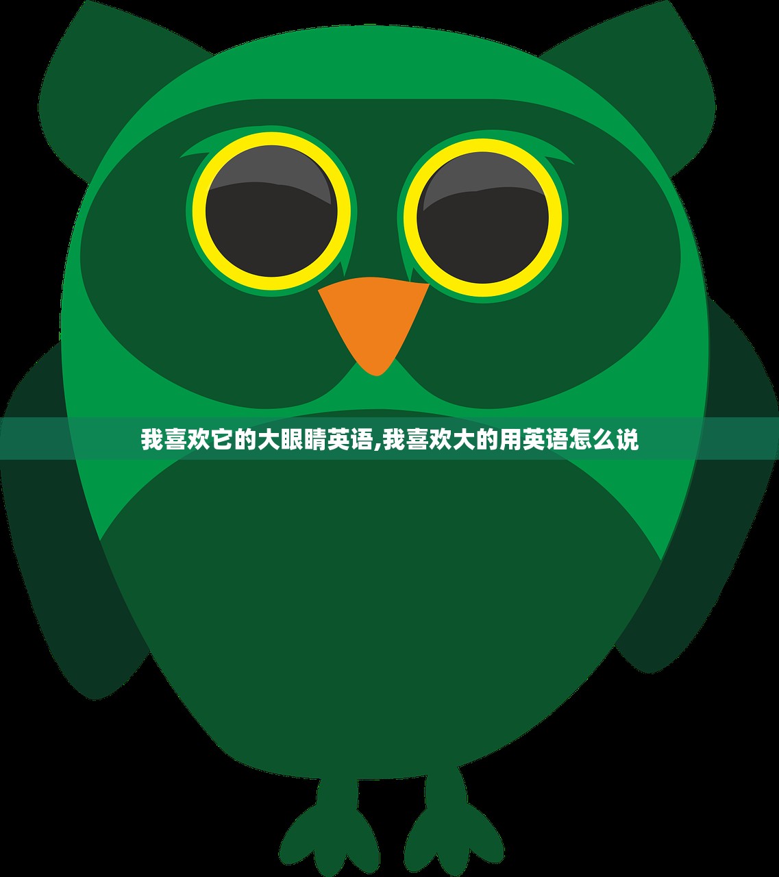 我喜欢它的大眼睛英语,我喜欢大的用英语怎么说