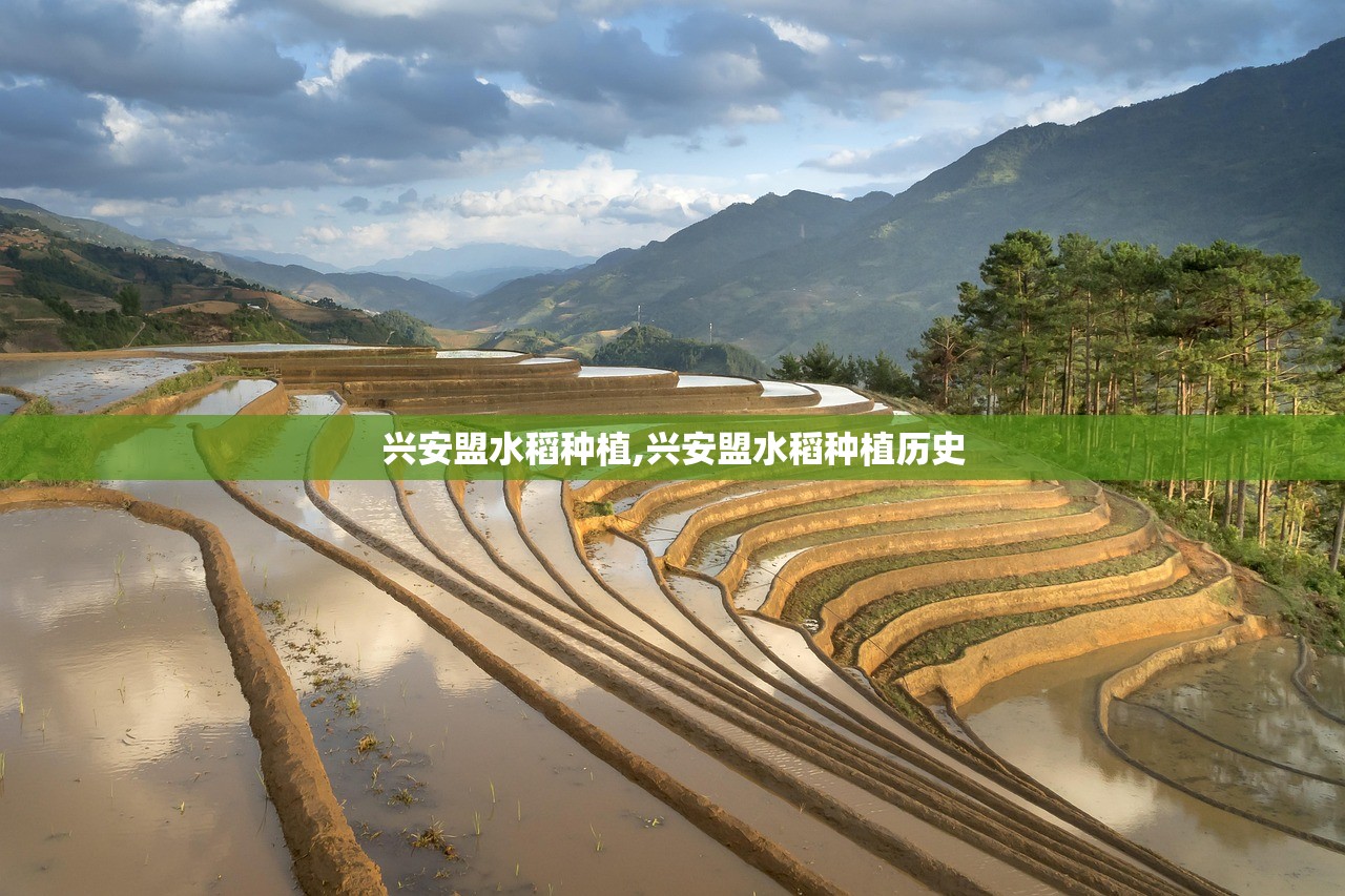兴安盟水稻种植,兴安盟水稻种植历史 兴安盟水稻种植,兴安盟水稻种植历史