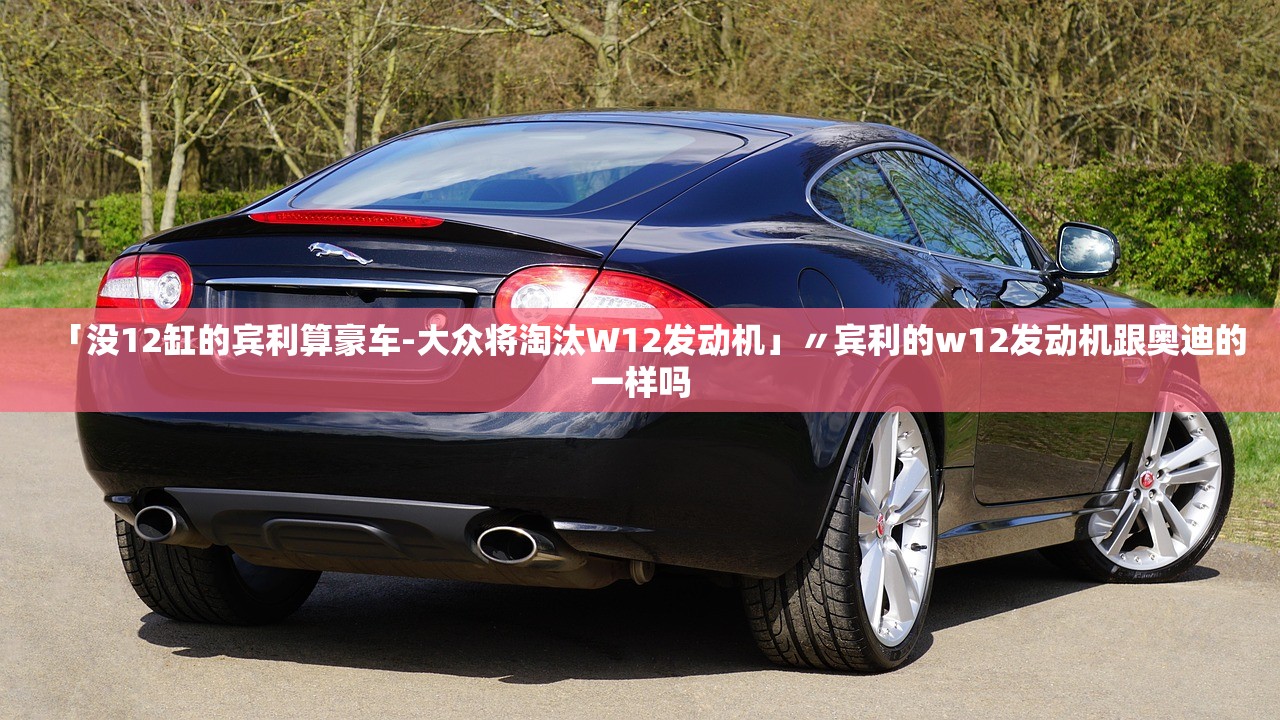 「没12缸的宾利算豪车-大众将淘汰W12发动机」〃宾利的w12发动机跟奥迪的一样吗 「没12缸的宾利算豪车-大众将淘汰W12发动机」〃宾利的w12发动机跟奥迪的一样吗