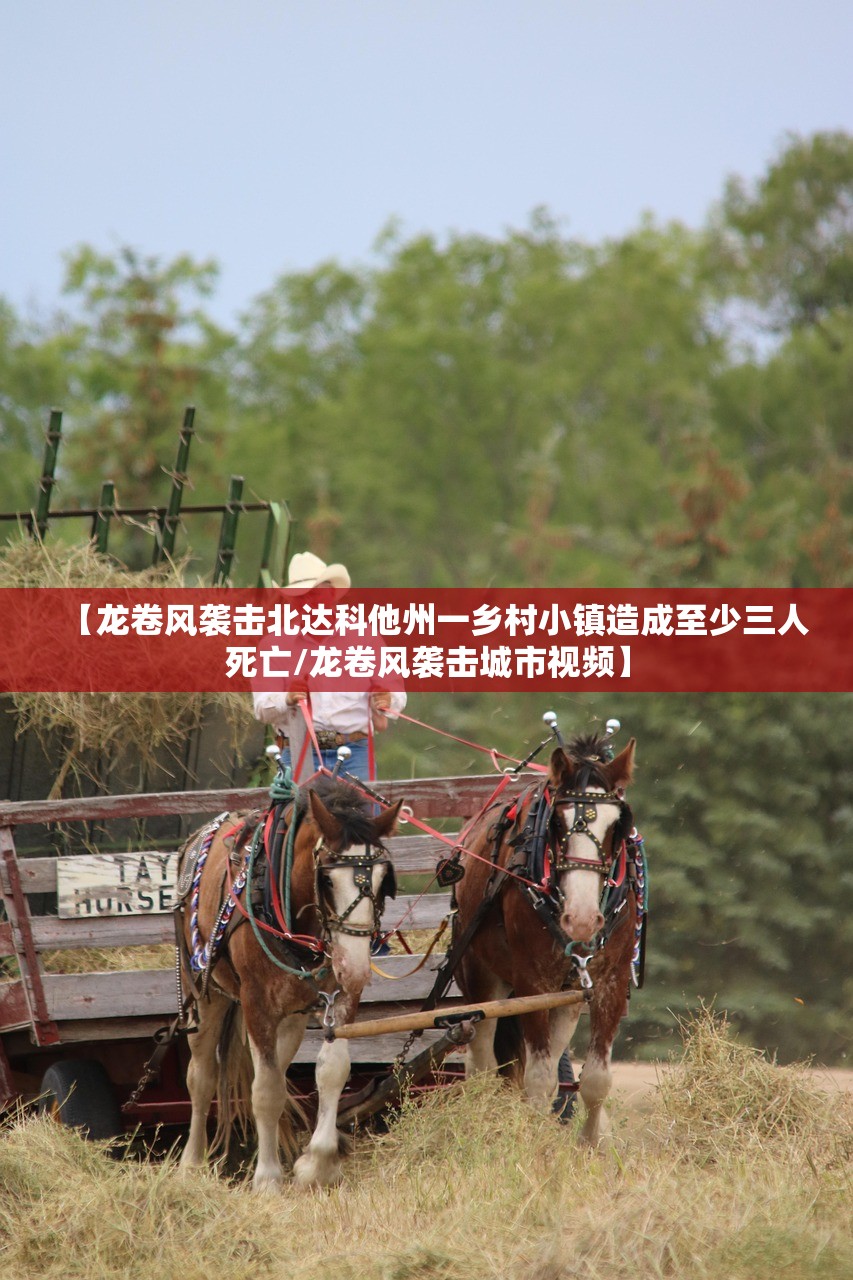 【龙卷风袭击北达科他州一乡村小镇造成至少三人死亡/龙卷风袭击城市视频】