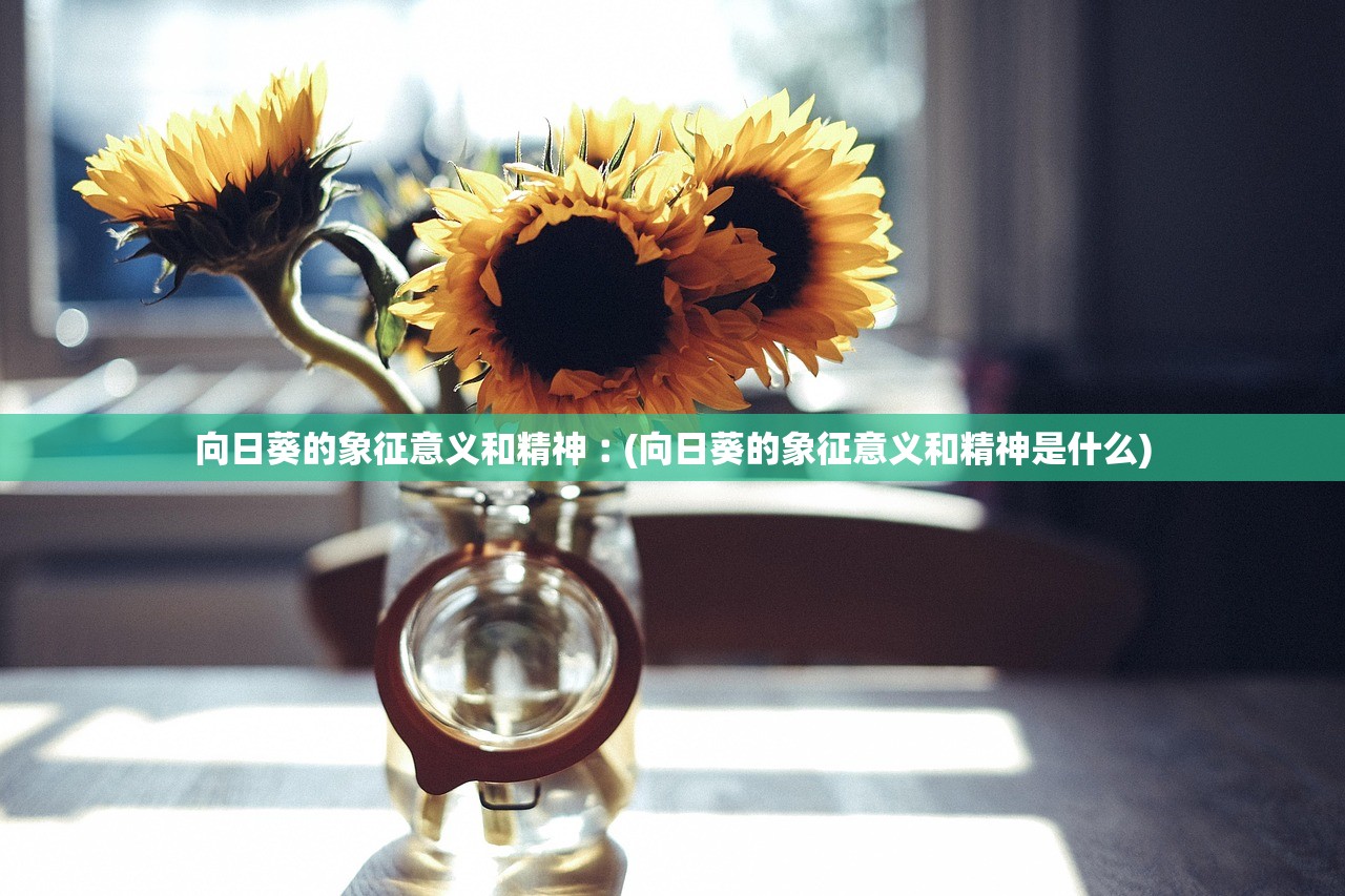 向日葵的象征意义和精神︰(向日葵的象征意义和精神是什么) 向日葵的象征意义和精神︰(向日葵的象征意义和精神是什么)