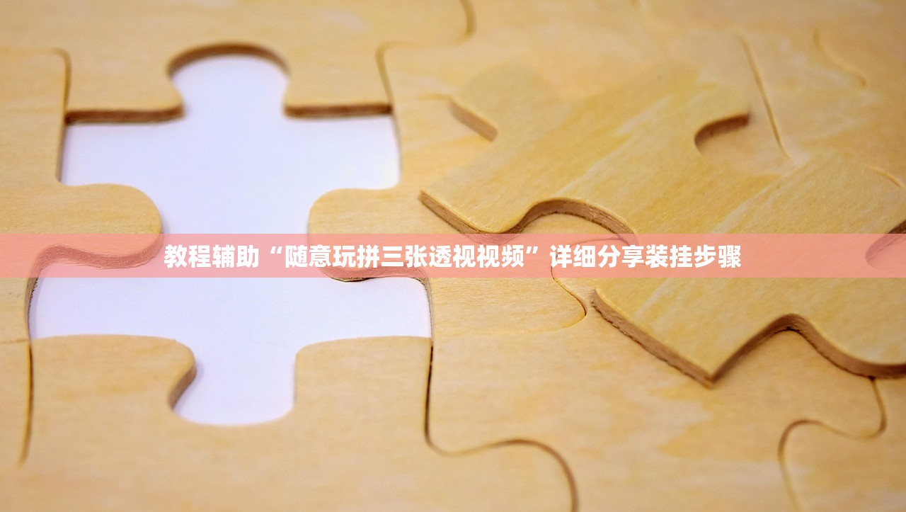 教程辅助“随意玩拼三张透视视频	”详细分享装挂步骤