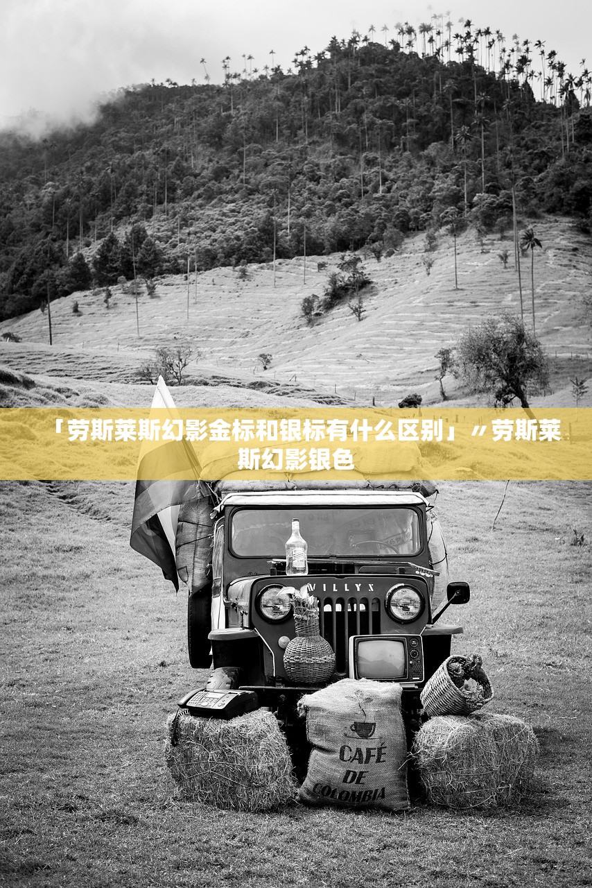 「劳斯莱斯幻影金标和银标有什么区别」〃劳斯莱斯幻影银色