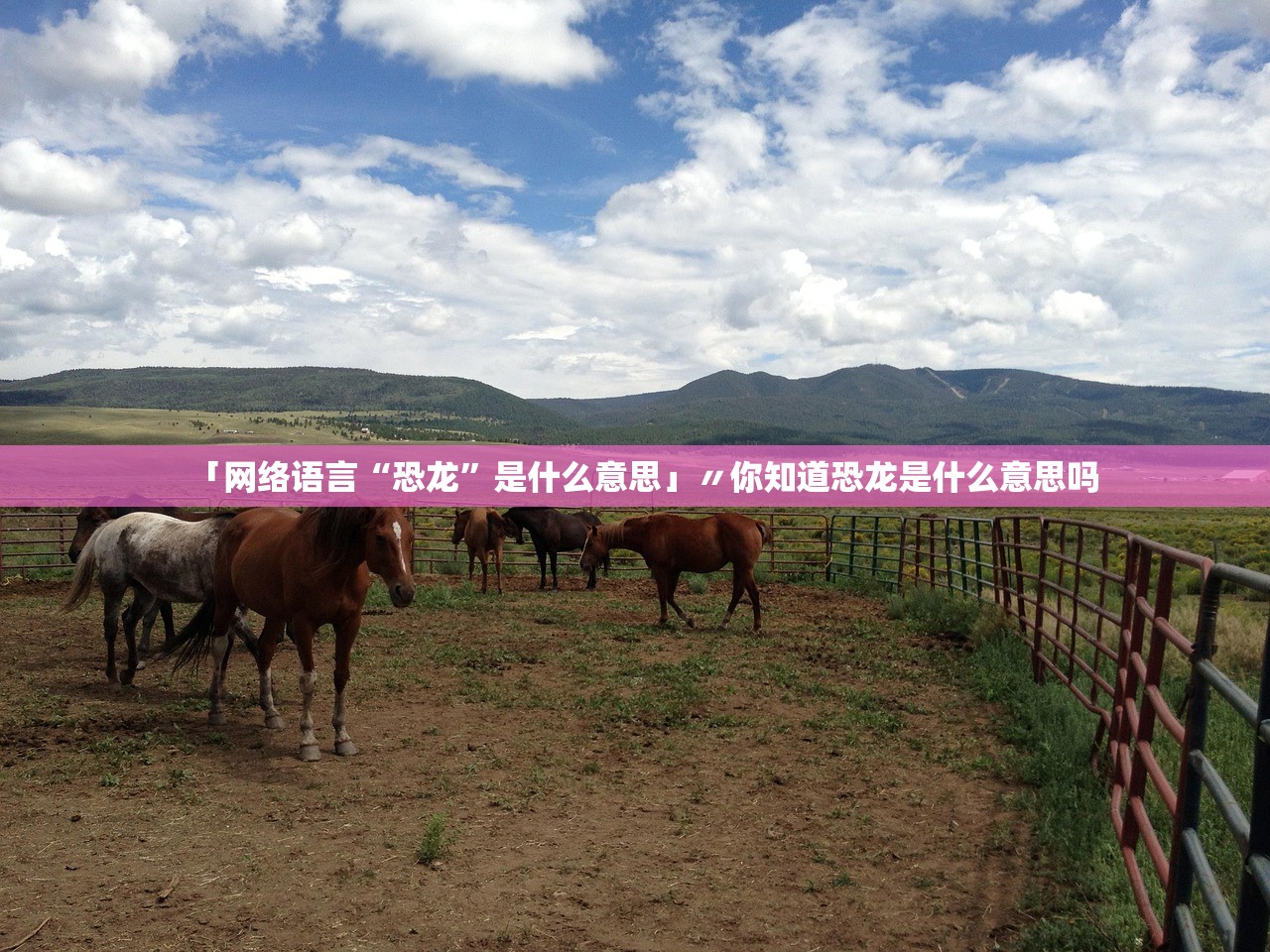 「网络语言“恐龙”是什么意思」〃你知道恐龙是什么意思吗