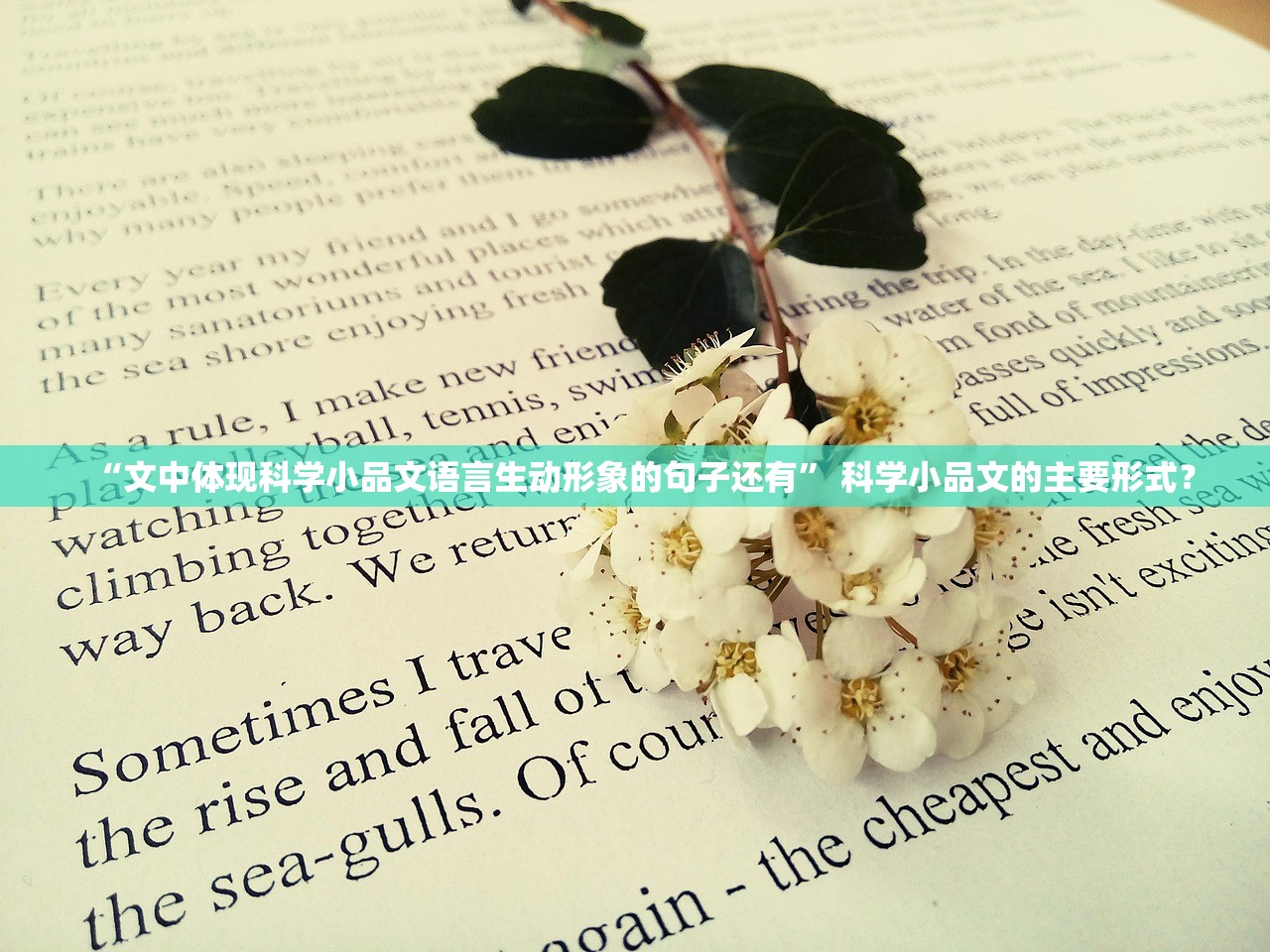 “文中体现科学小品文语言生动形象的句子还有	” 科学小品文的主要形式？