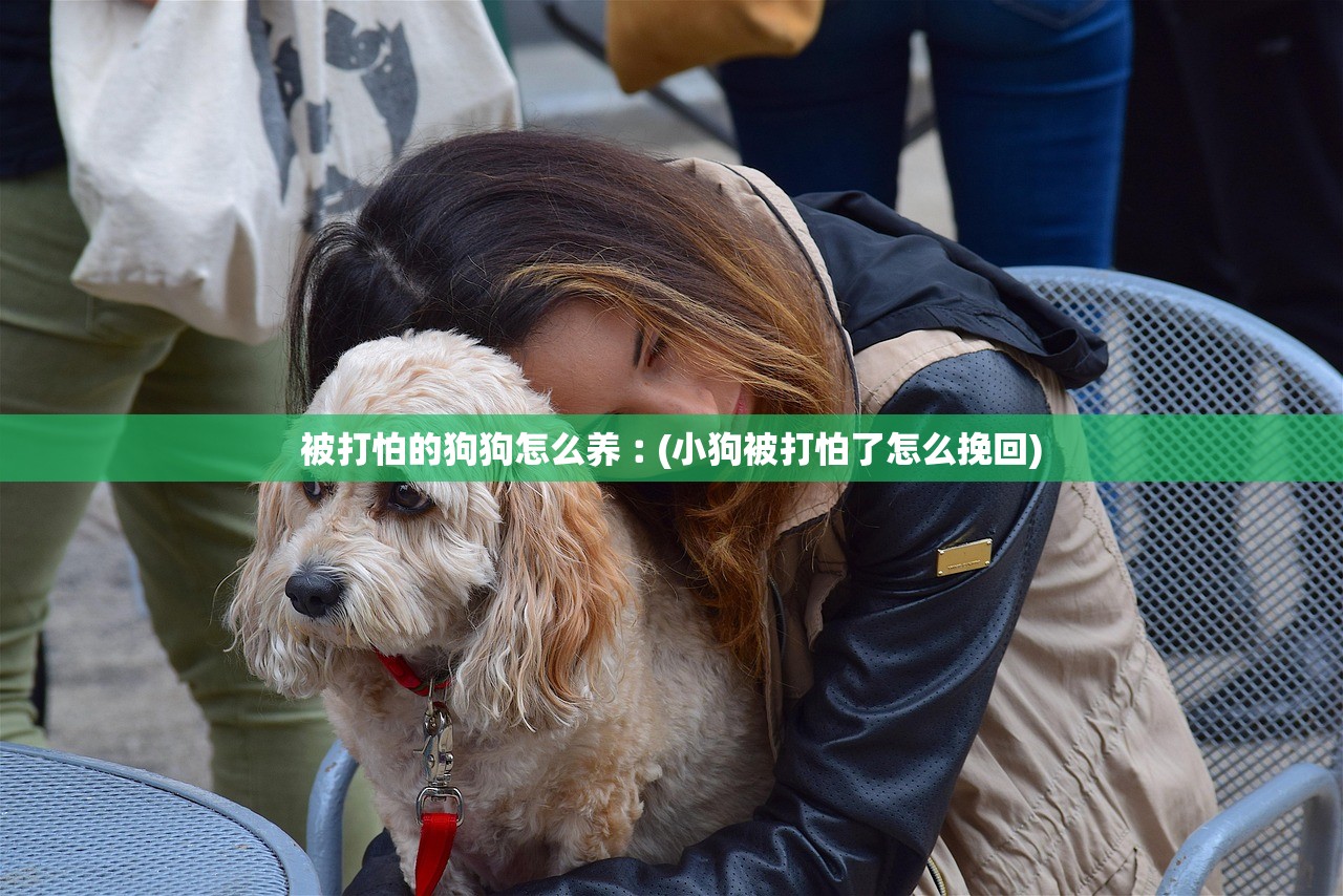 被打怕的狗狗怎么养︰(小狗被打怕了怎么挽回)
