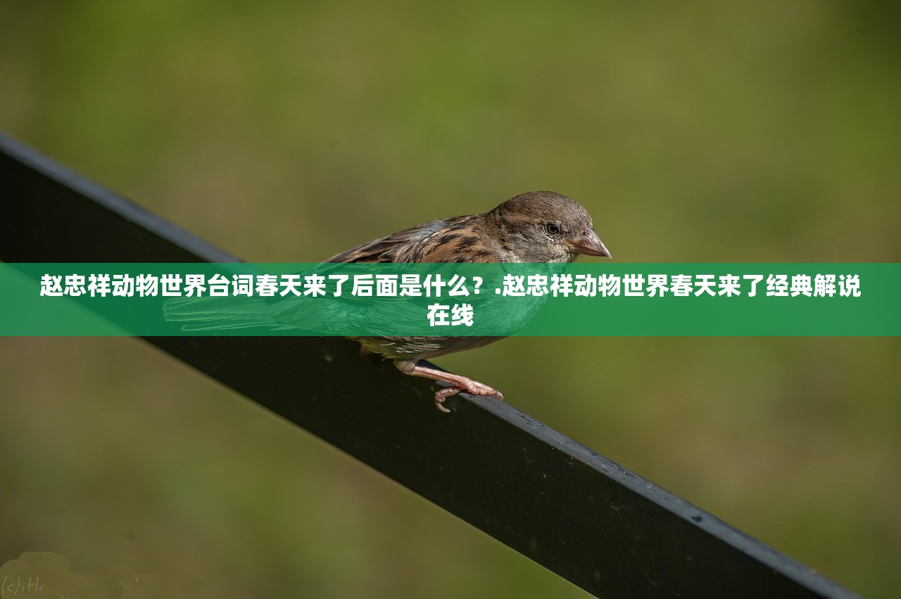 赵忠祥动物世界台词春天来了后面是什么？.赵忠祥动物世界春天来了经典解说在线