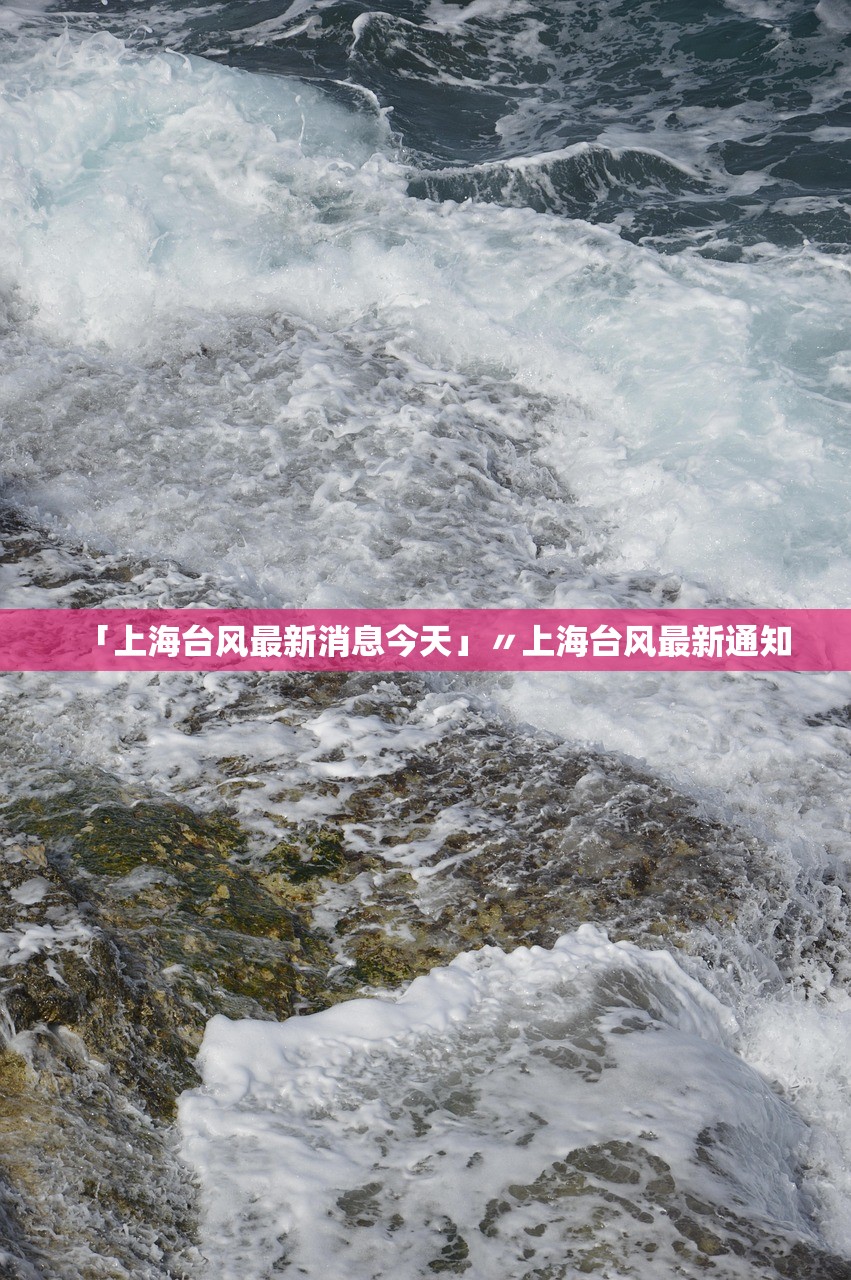 「上海台风最新消息今天」〃上海台风最新通知