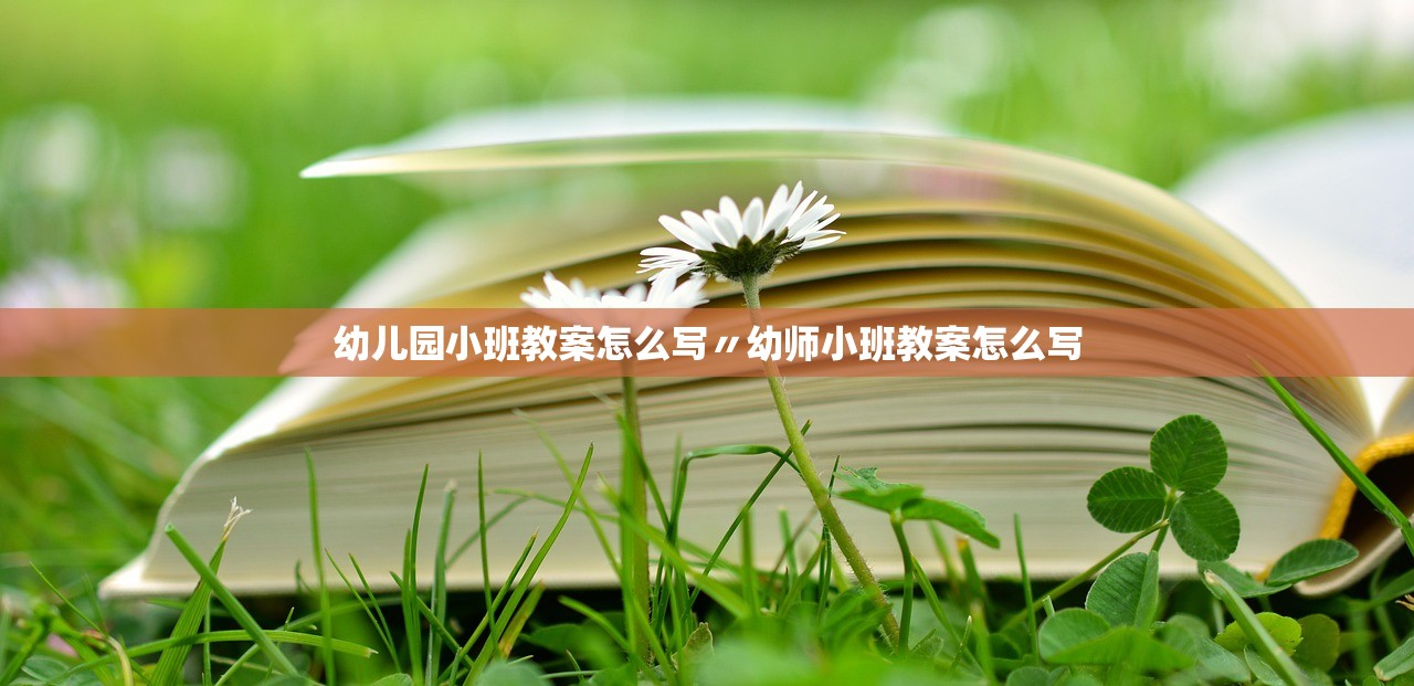 幼儿园小班教案怎么写〃幼师小班教案怎么写 幼儿园小班教案怎么写〃幼师小班教案怎么写