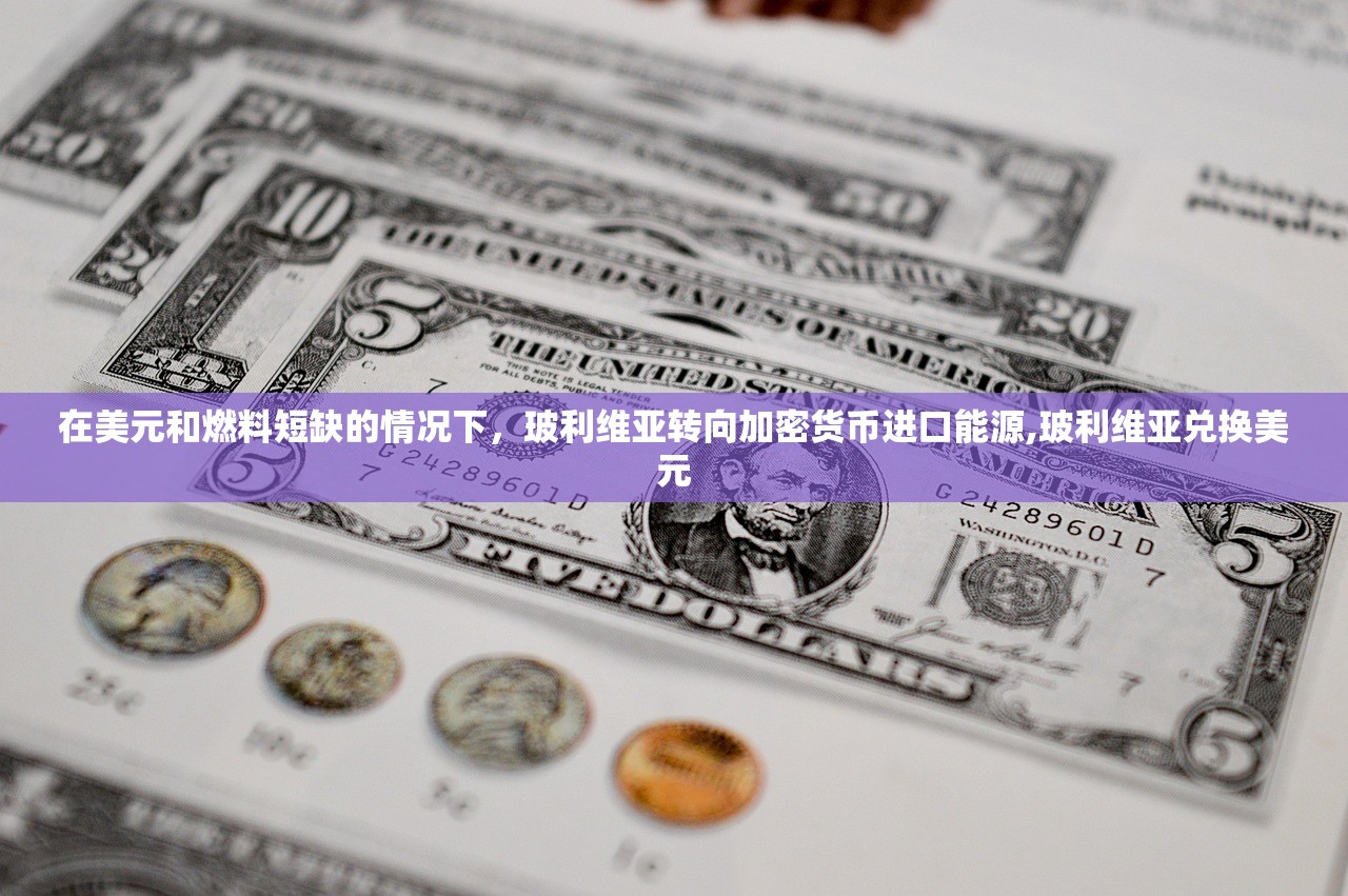 在美元和燃料短缺的情况下，玻利维亚转向加密货币进口能源,玻利维亚兑换美元