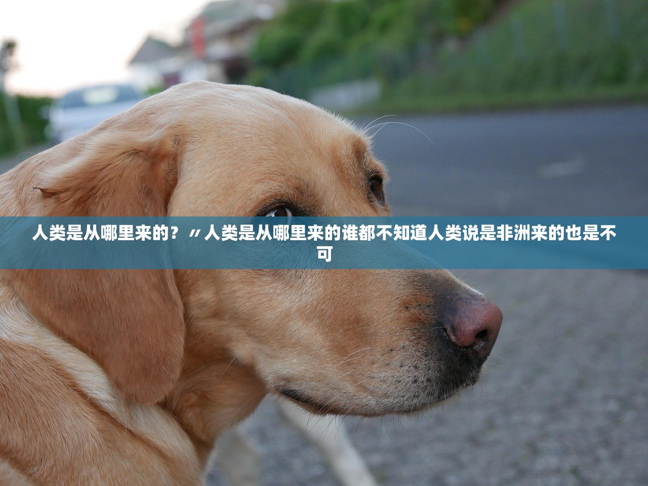 人类是从哪里来的？〃人类是从哪里来的谁都不知道人类说是非洲来的也是不可