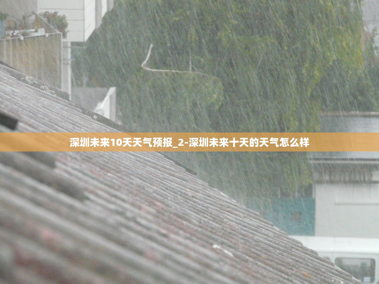 深圳未来10天天气预报_2-深圳未来十天的天气怎么样
