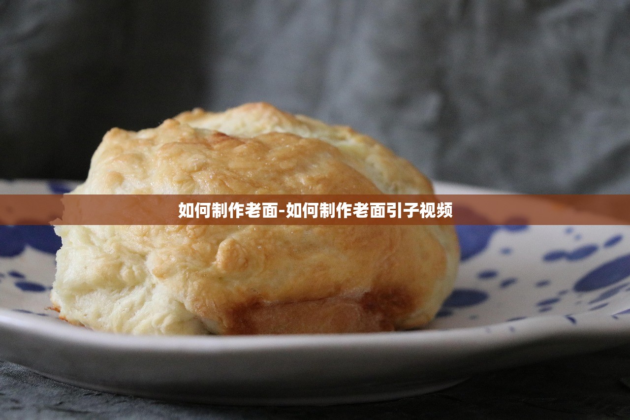 如何制作老面-如何制作老面引子视频