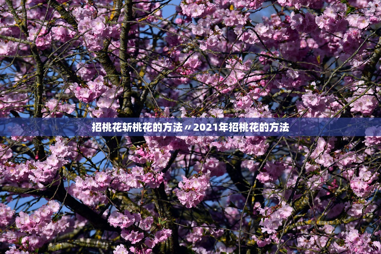 招桃花斩桃花的方法〃2021年招桃花的方法