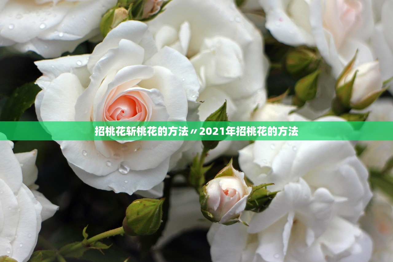 招桃花斩桃花的方法〃2021年招桃花的方法