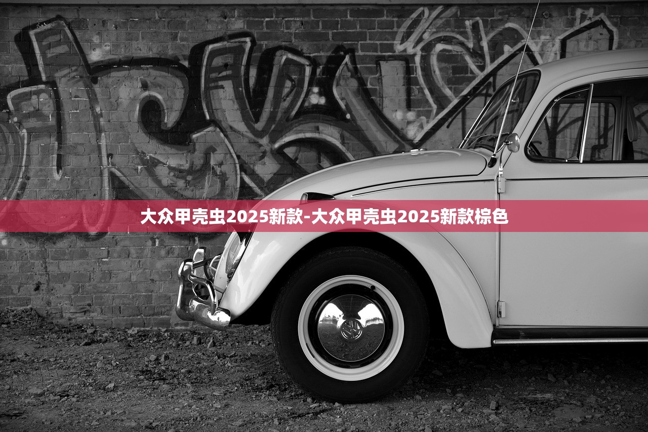 大众甲壳虫2025新款-大众甲壳虫2025新款棕色