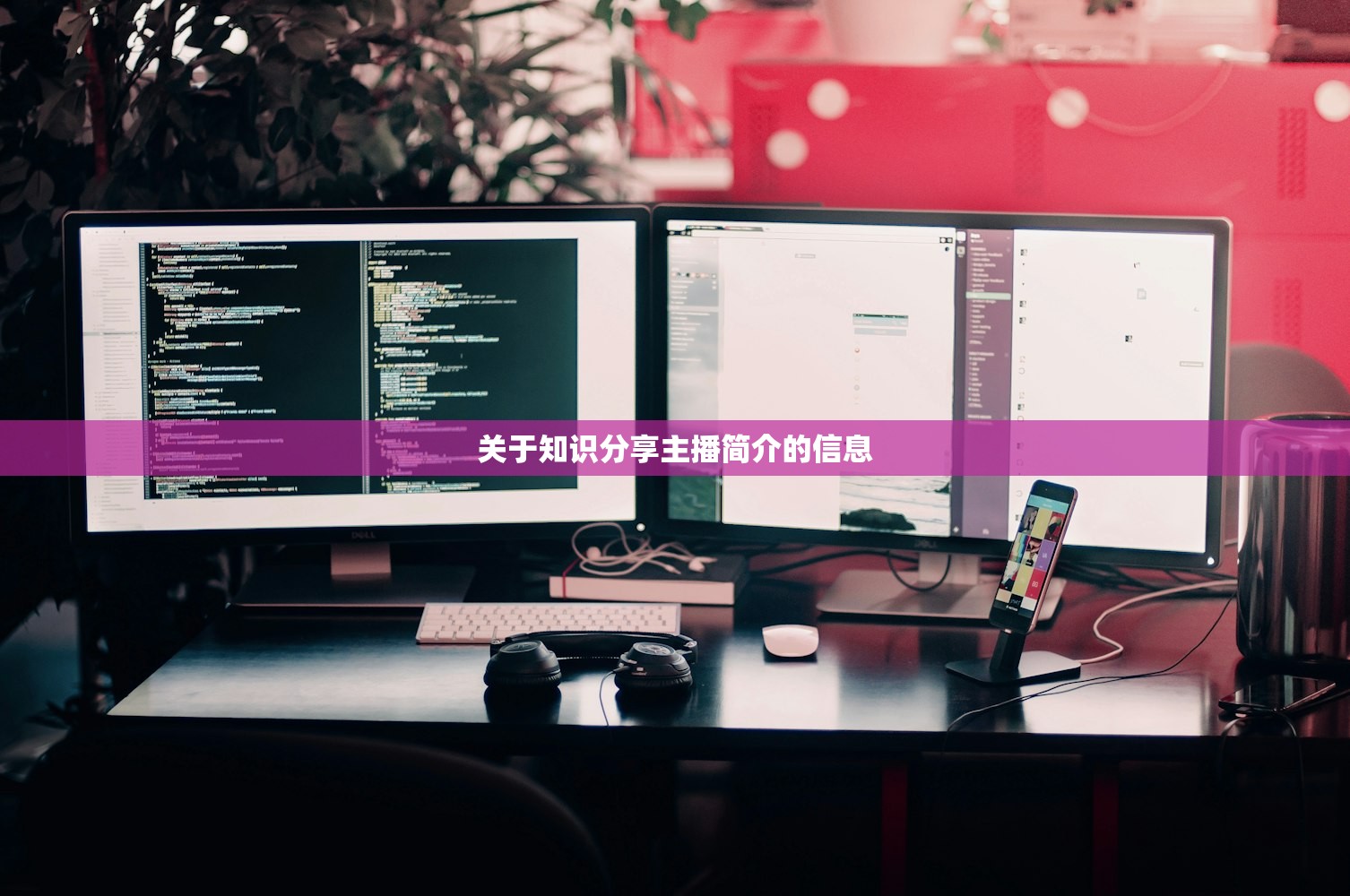 关于知识分享主播简介的信息 关于知识分享主播简介的信息