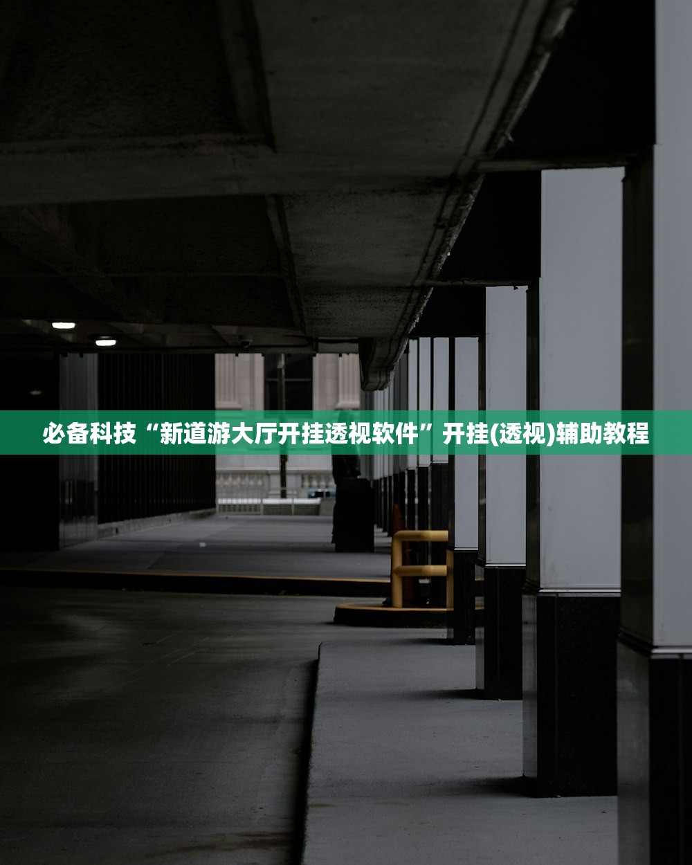 必备科技“新道游大厅开挂透视软件	”开挂(透视)辅助教程