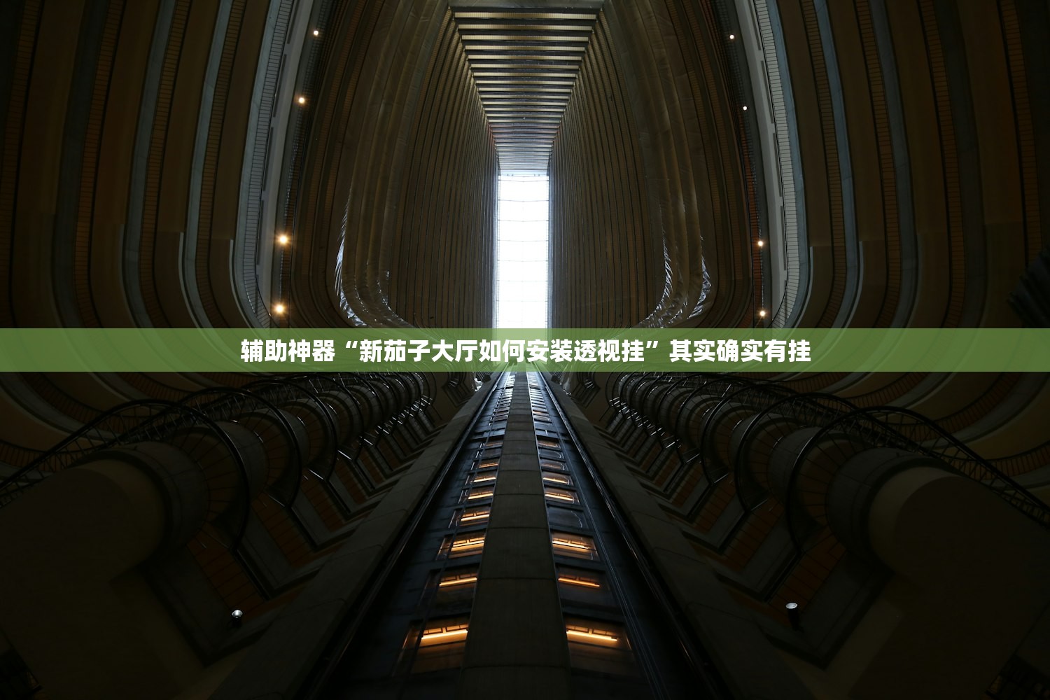 辅助神器“新茄子大厅如何安装透视挂”其实确实有挂