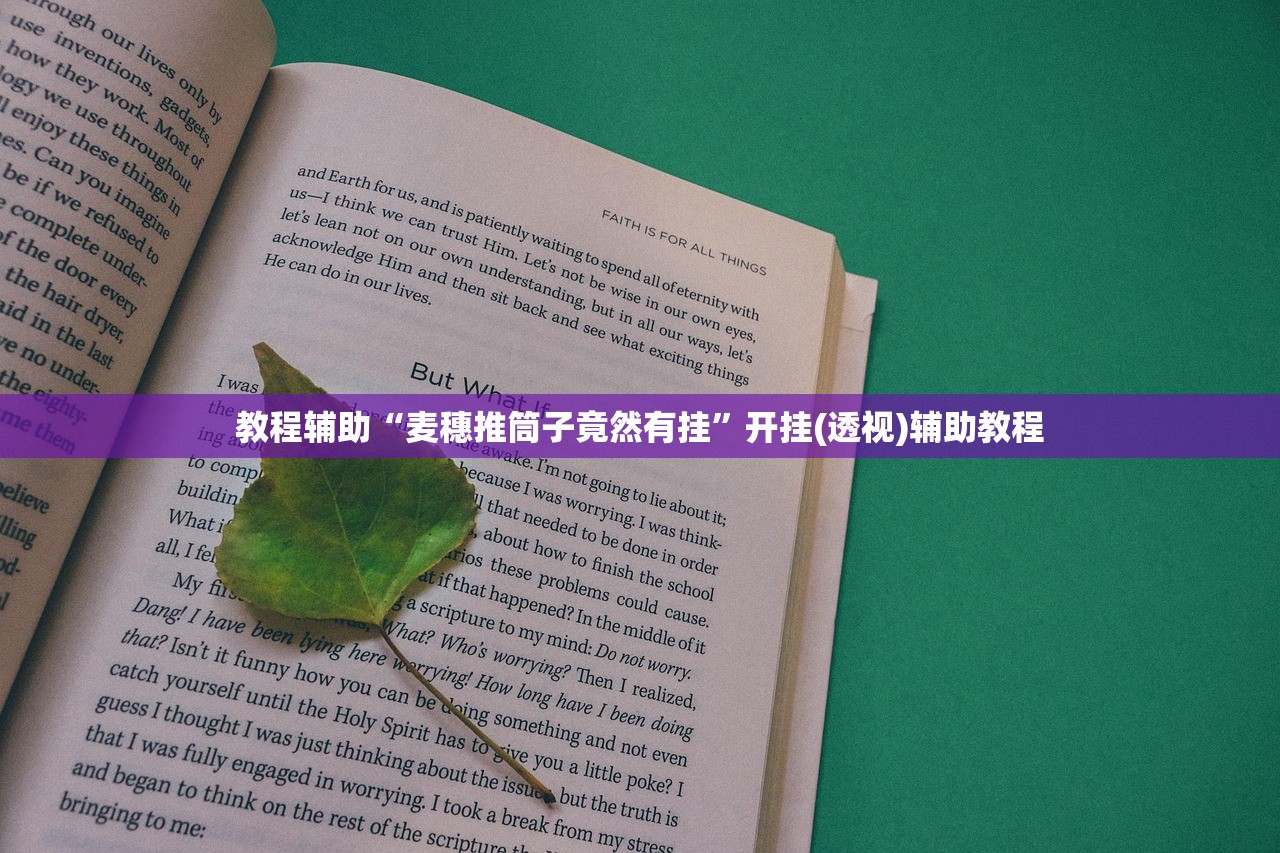 教程辅助“麦穗推筒子竟然有挂	”开挂(透视)辅助教程