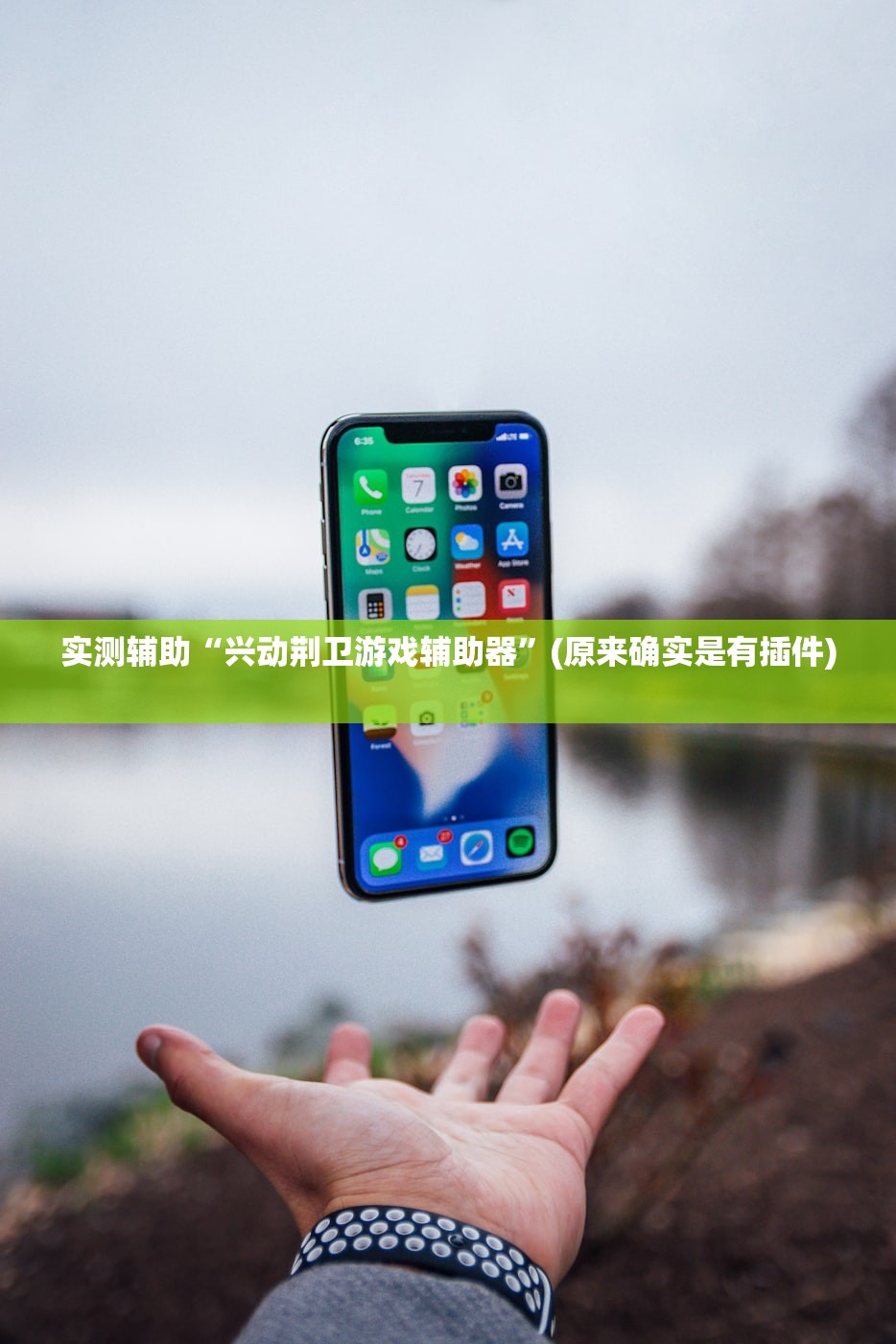 实测辅助“兴动荆卫游戏辅助器	”(原来确实是有插件) 