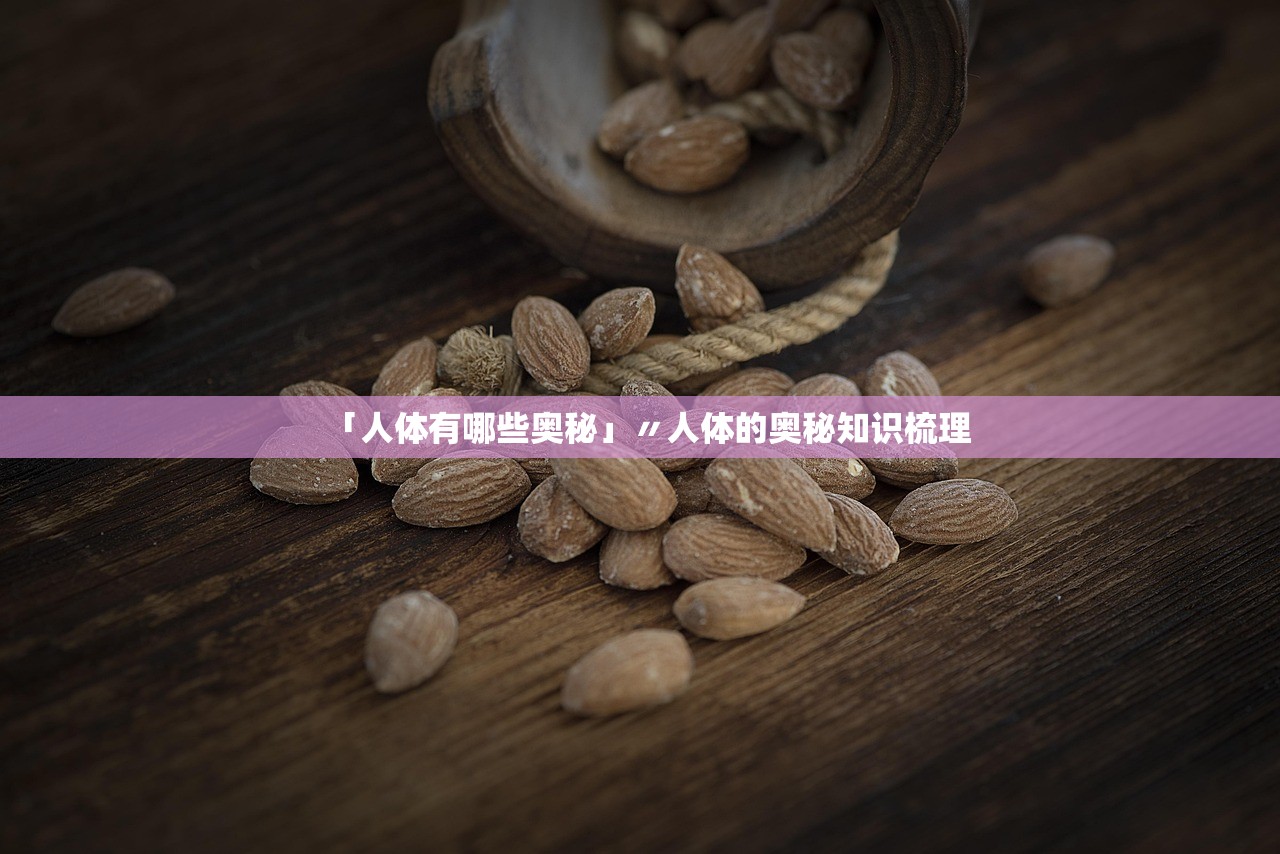 「人体有哪些奥秘」〃人体的奥秘知识梳理