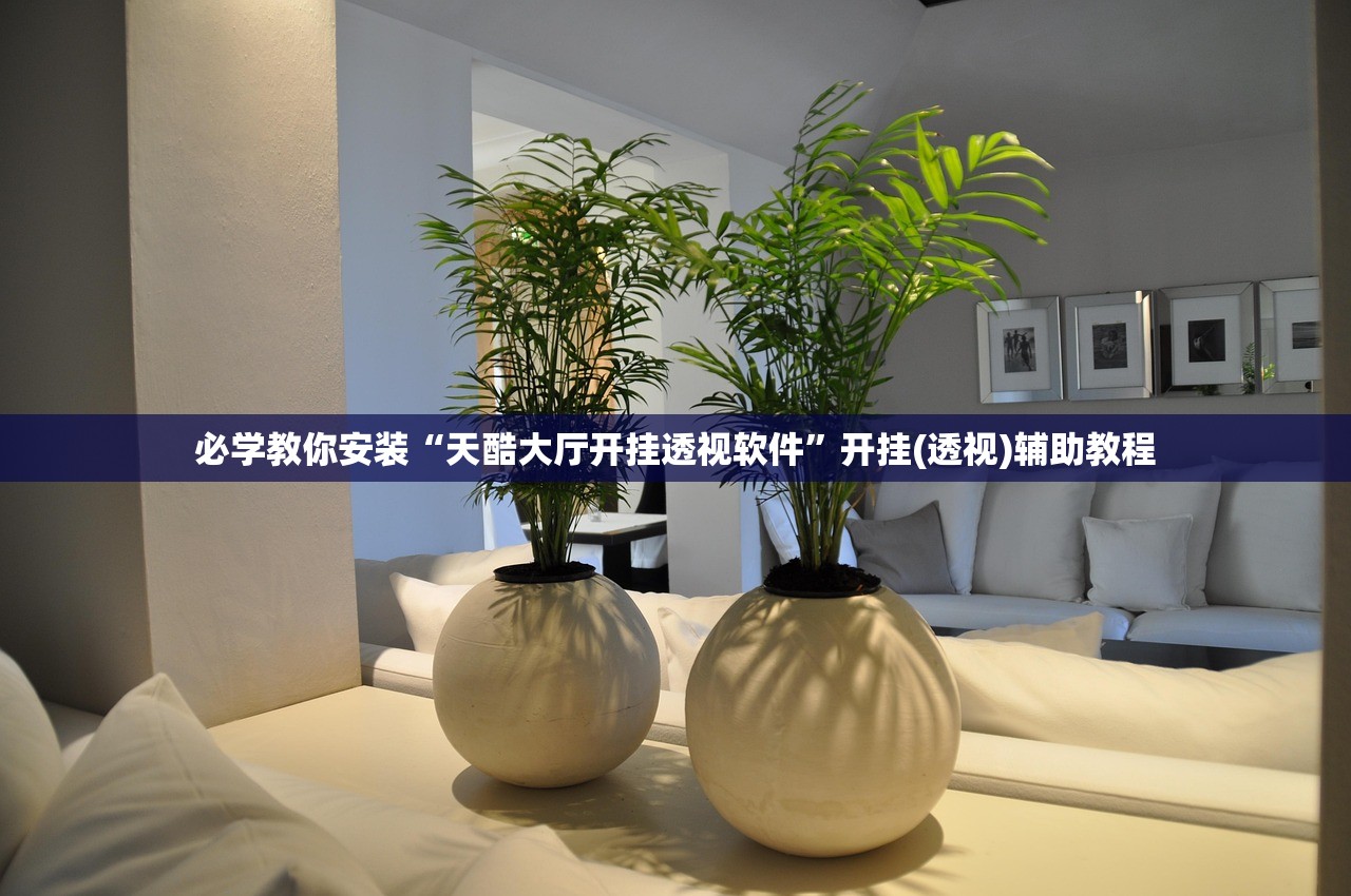 必学教你安装“天酷大厅开挂透视软件”开挂(透视)辅助教程