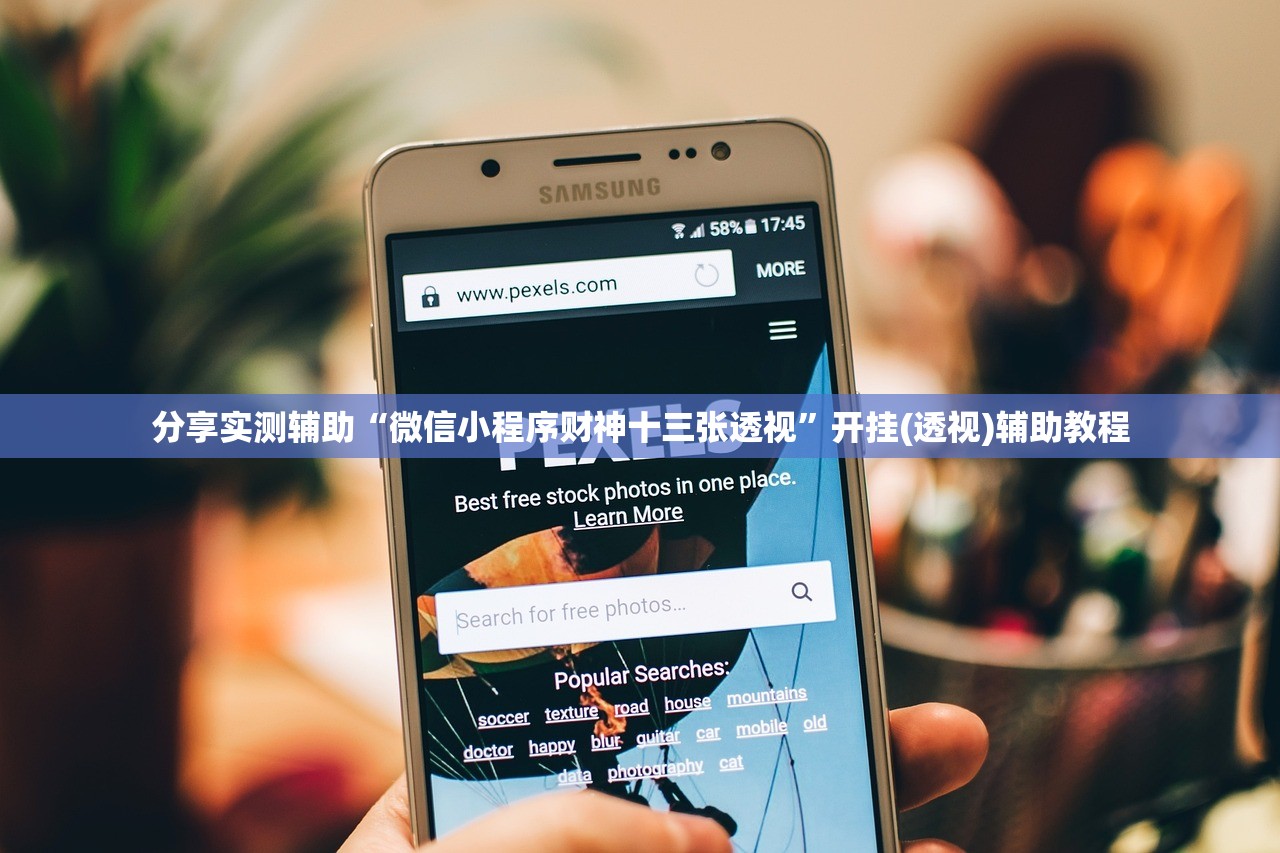 分享实测辅助“微信小程序财神十三张透视	”开挂(透视)辅助教程