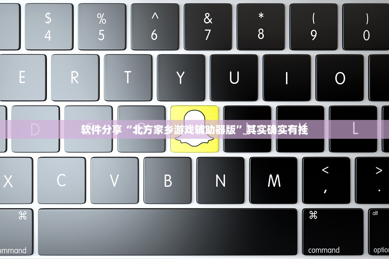 软件分享“北方家乡游戏辅助器版	”其实确实有挂