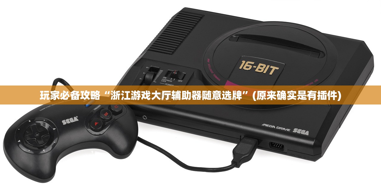 玩家必备攻略“浙江游戏大厅辅助器随意选牌”(原来确实是有插件)