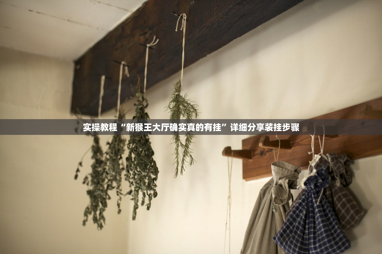 实操教程“新猴王大厅确实真的有挂”详细分享装挂步骤